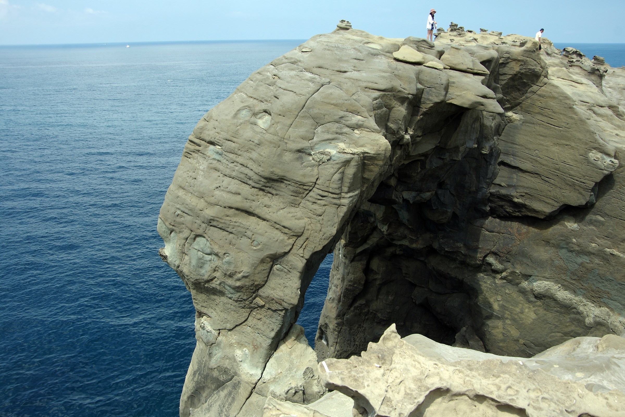 Trunk Rock