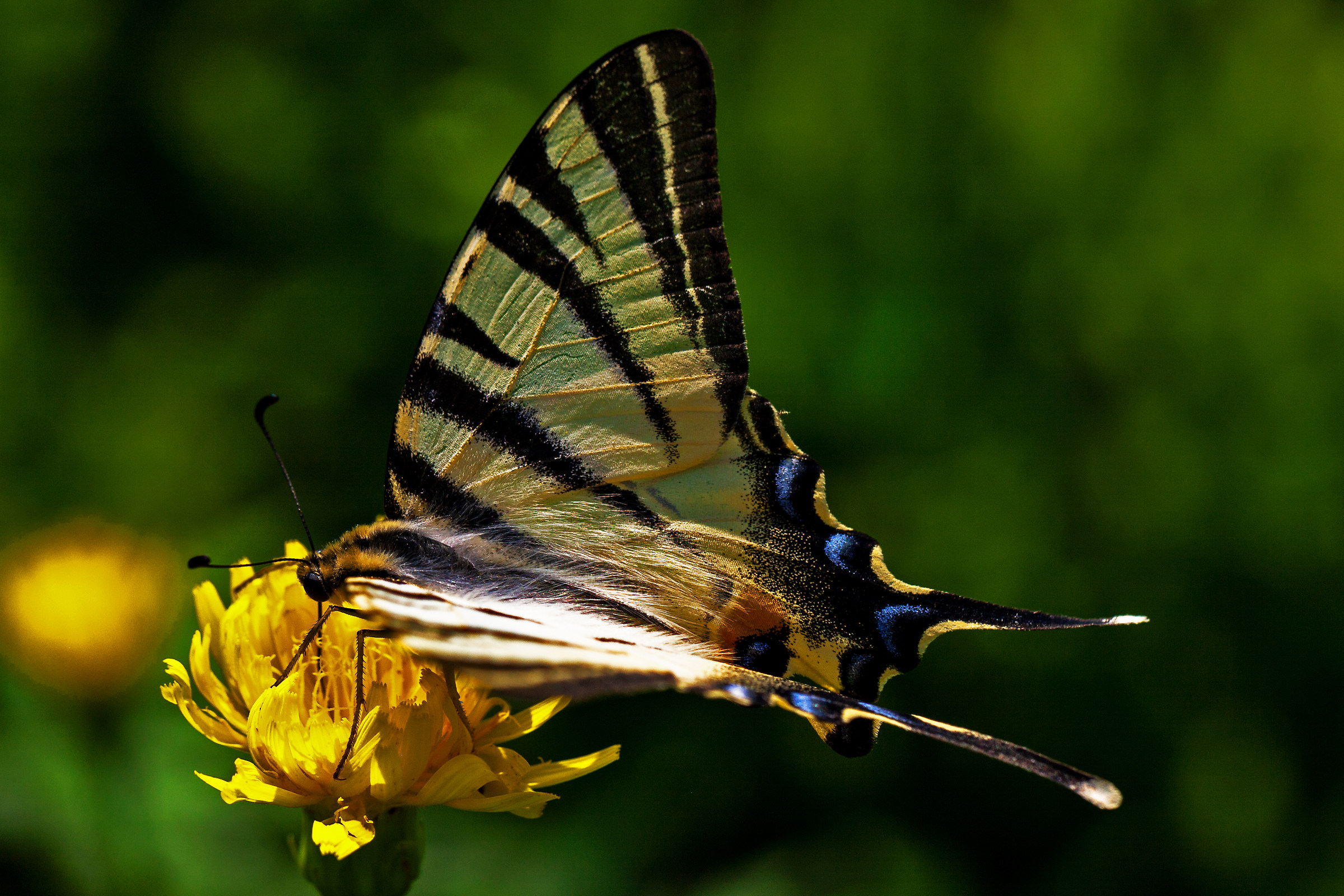 Quant'è buono !!!!!