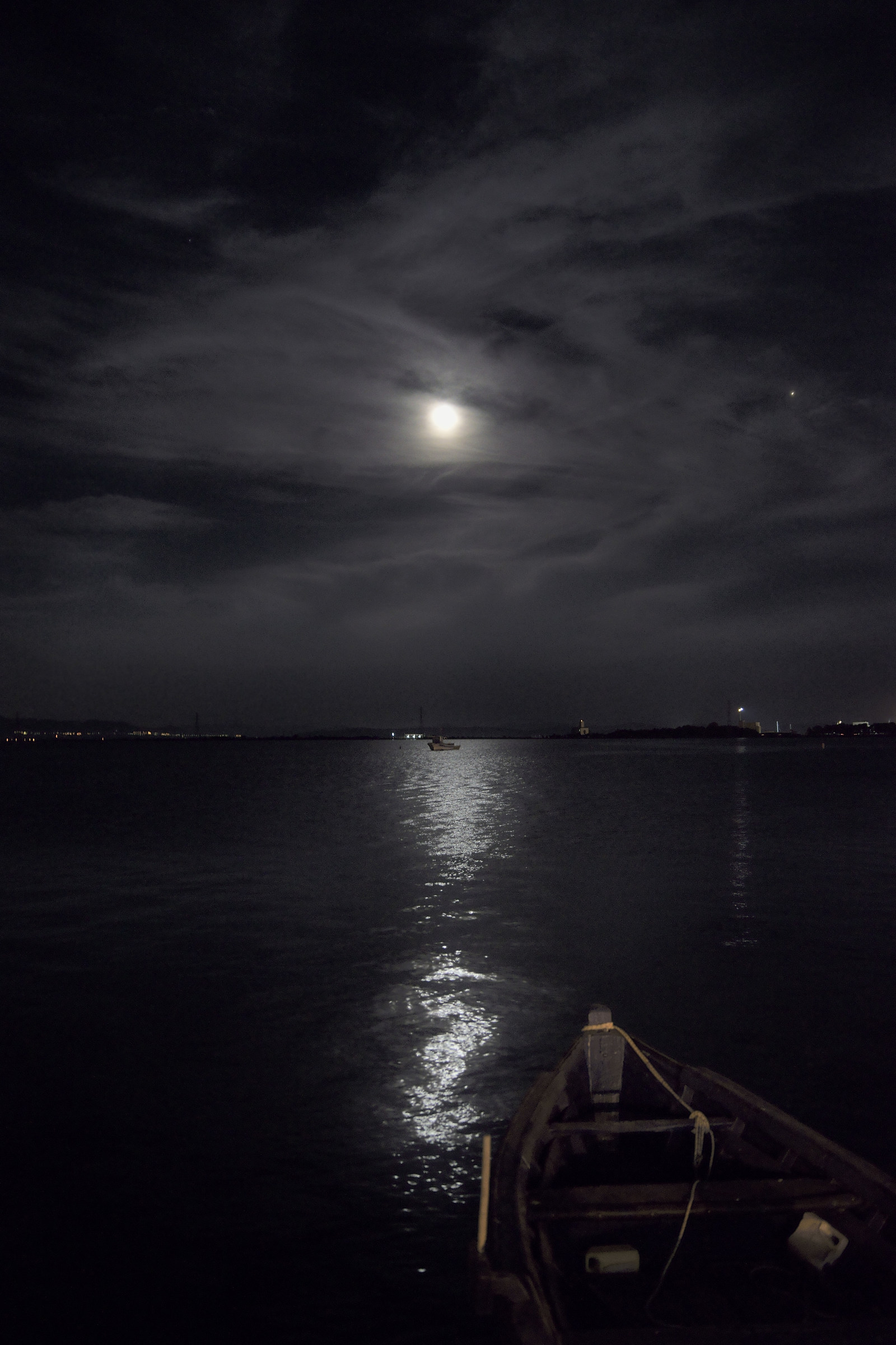 Pesca al chiaro di luna