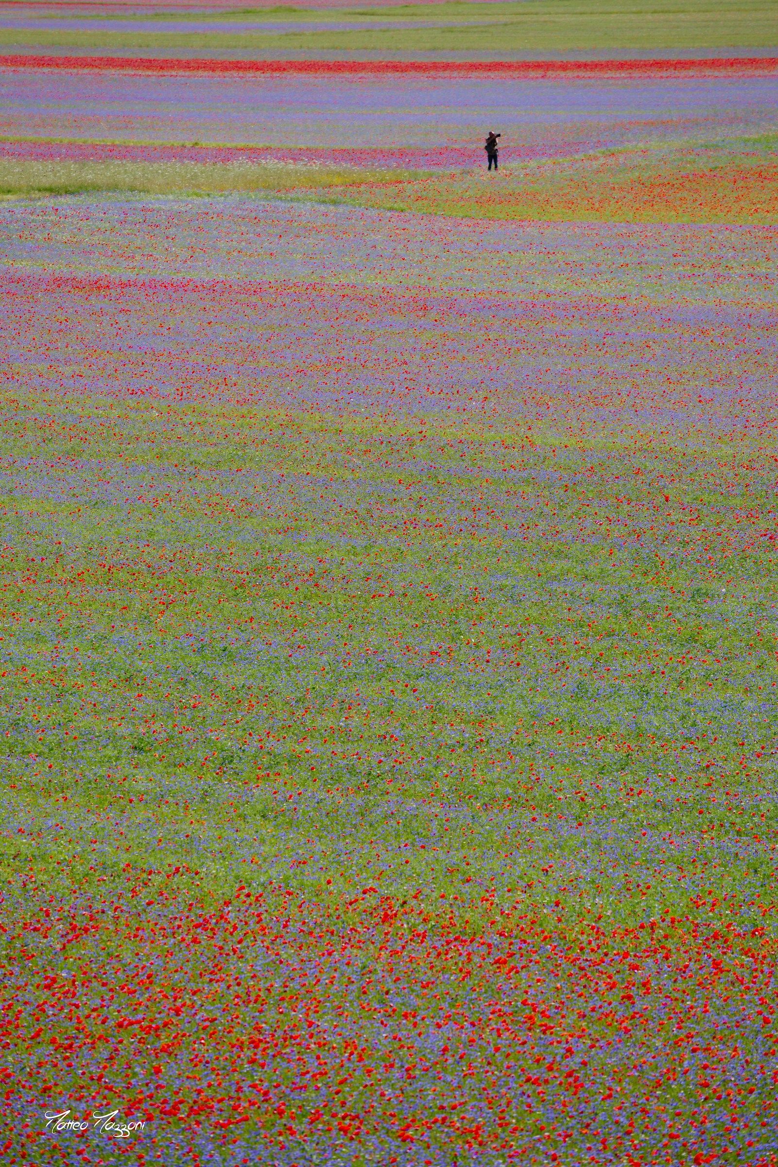 Getting lost in colors