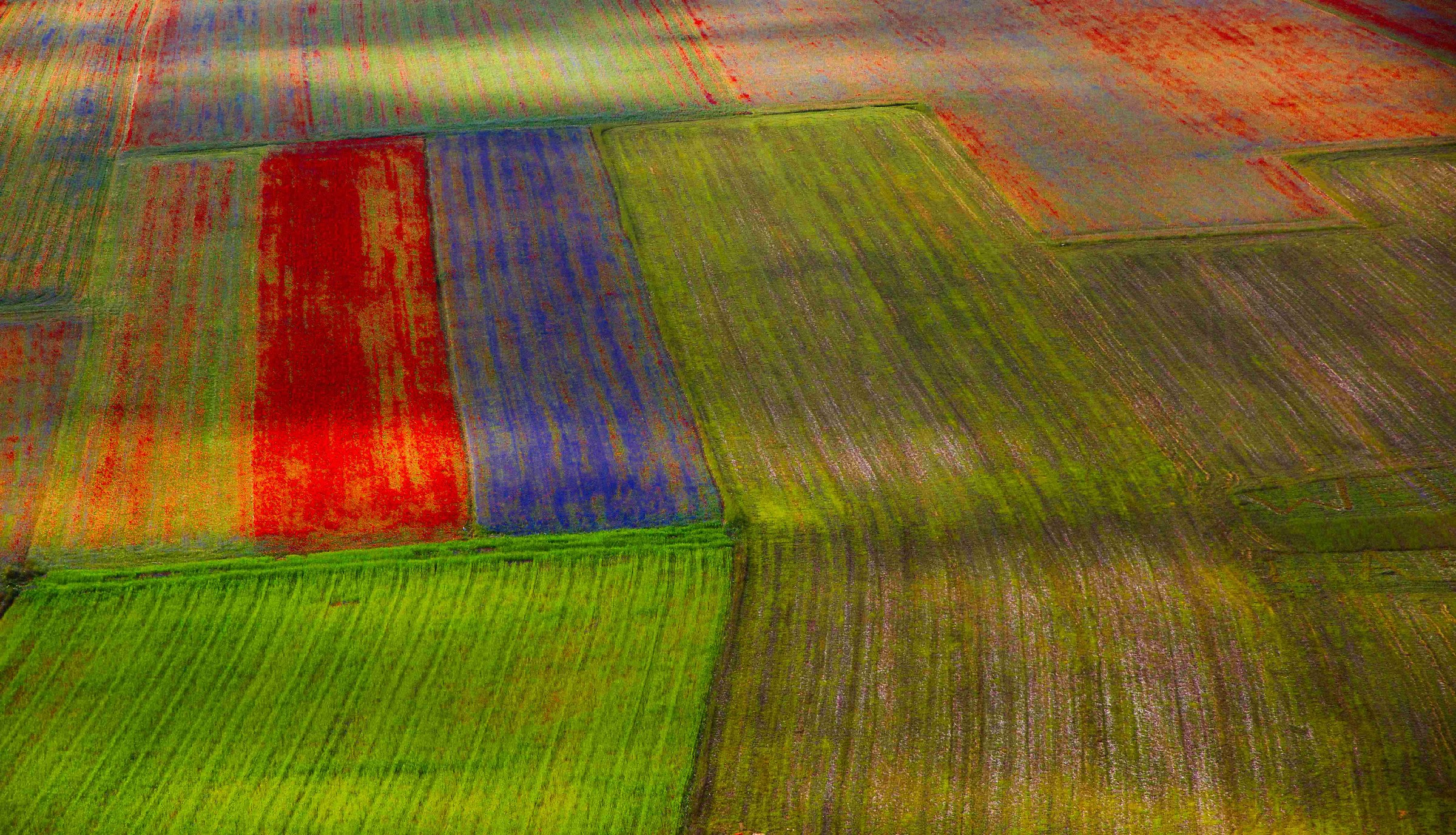 vogliamo il colore???