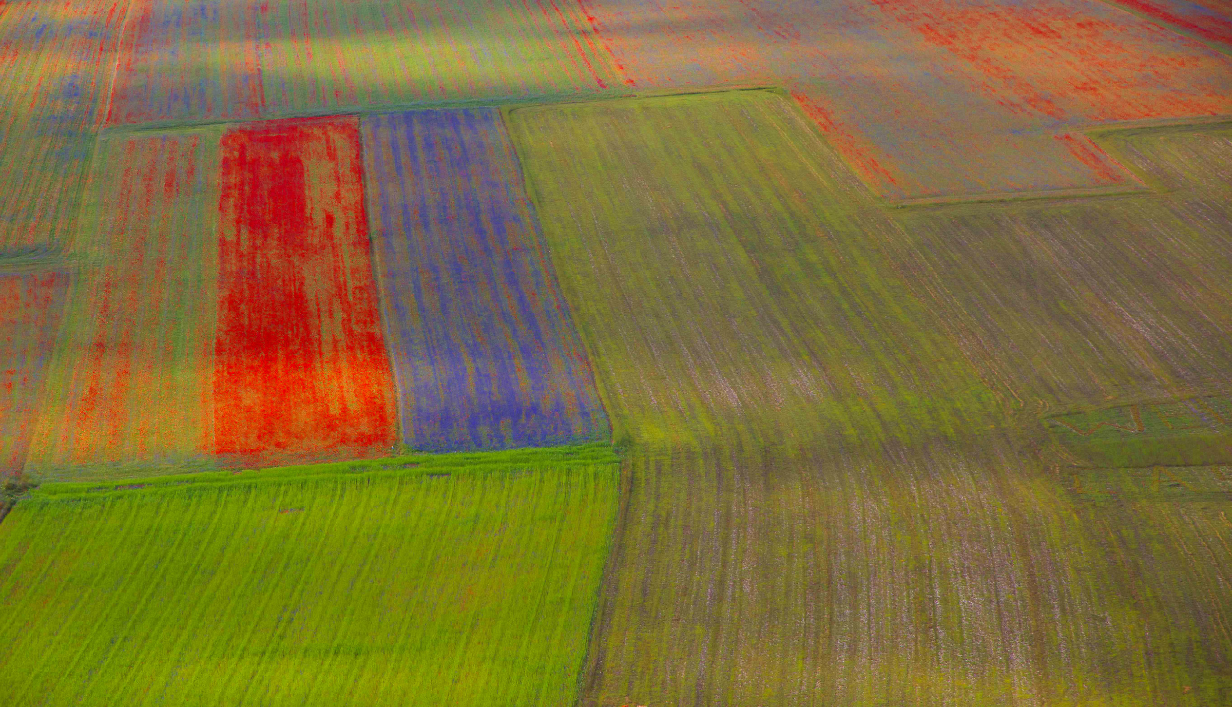 vogliamo il colore???