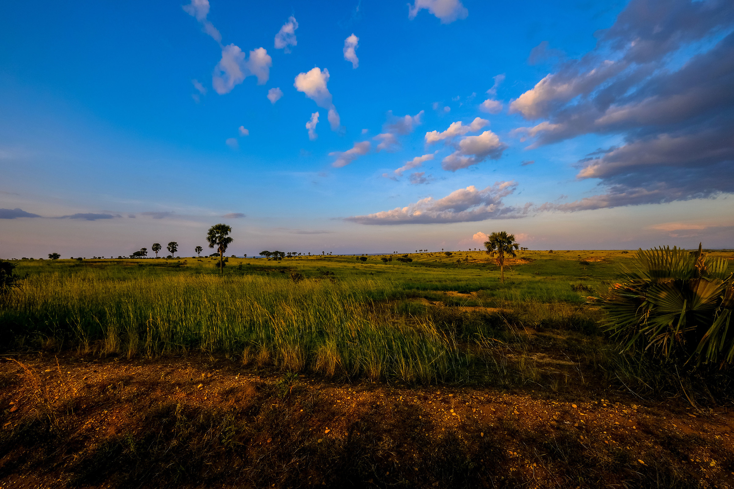 Murchison Falls Park