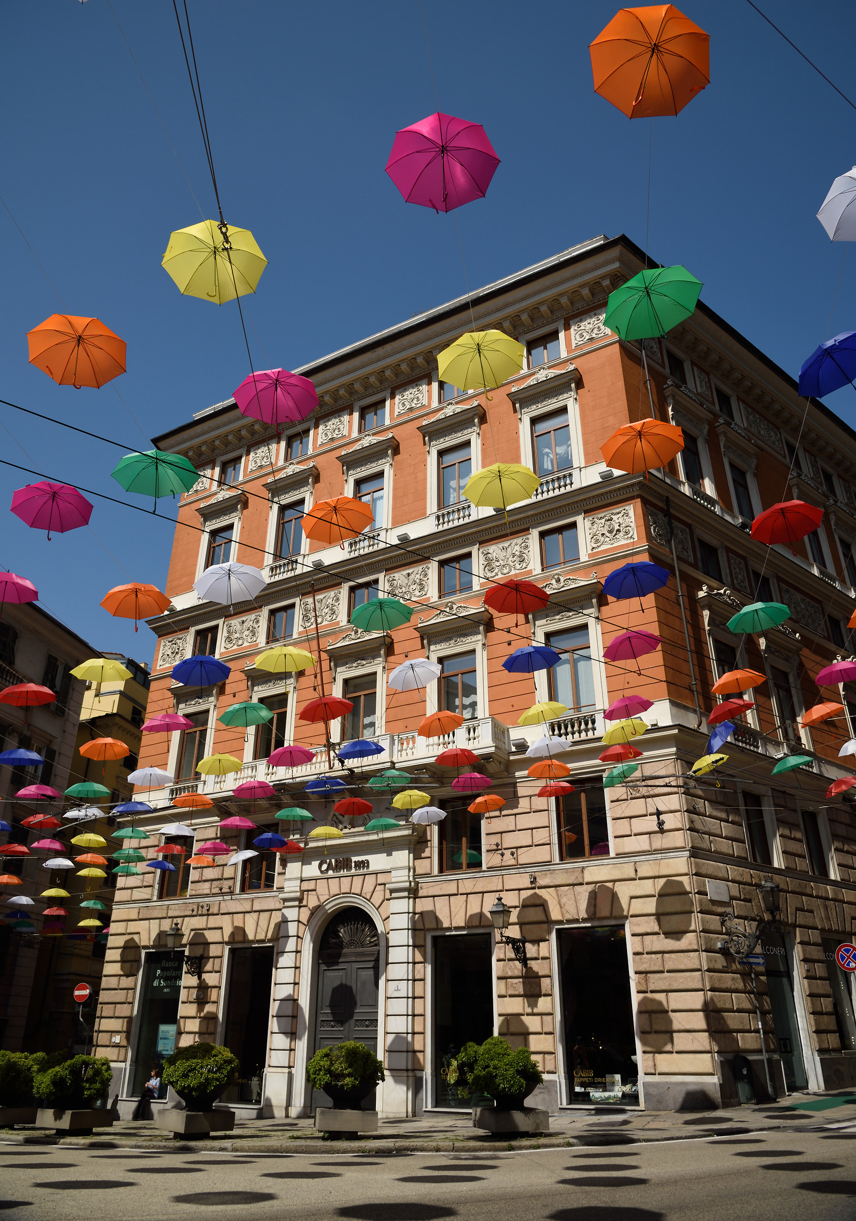 Umbrellas in the center