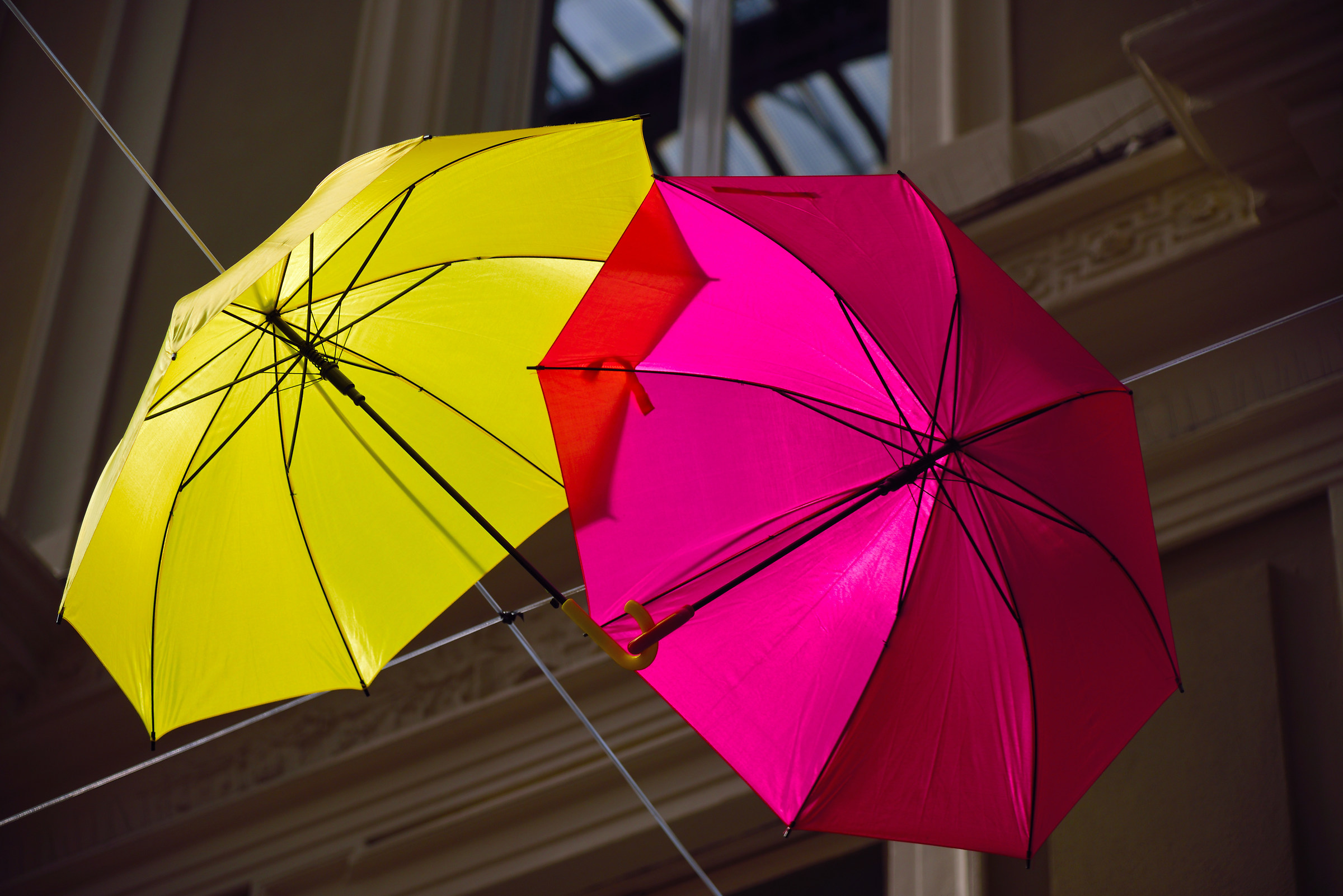 Umbrellas in the center 4