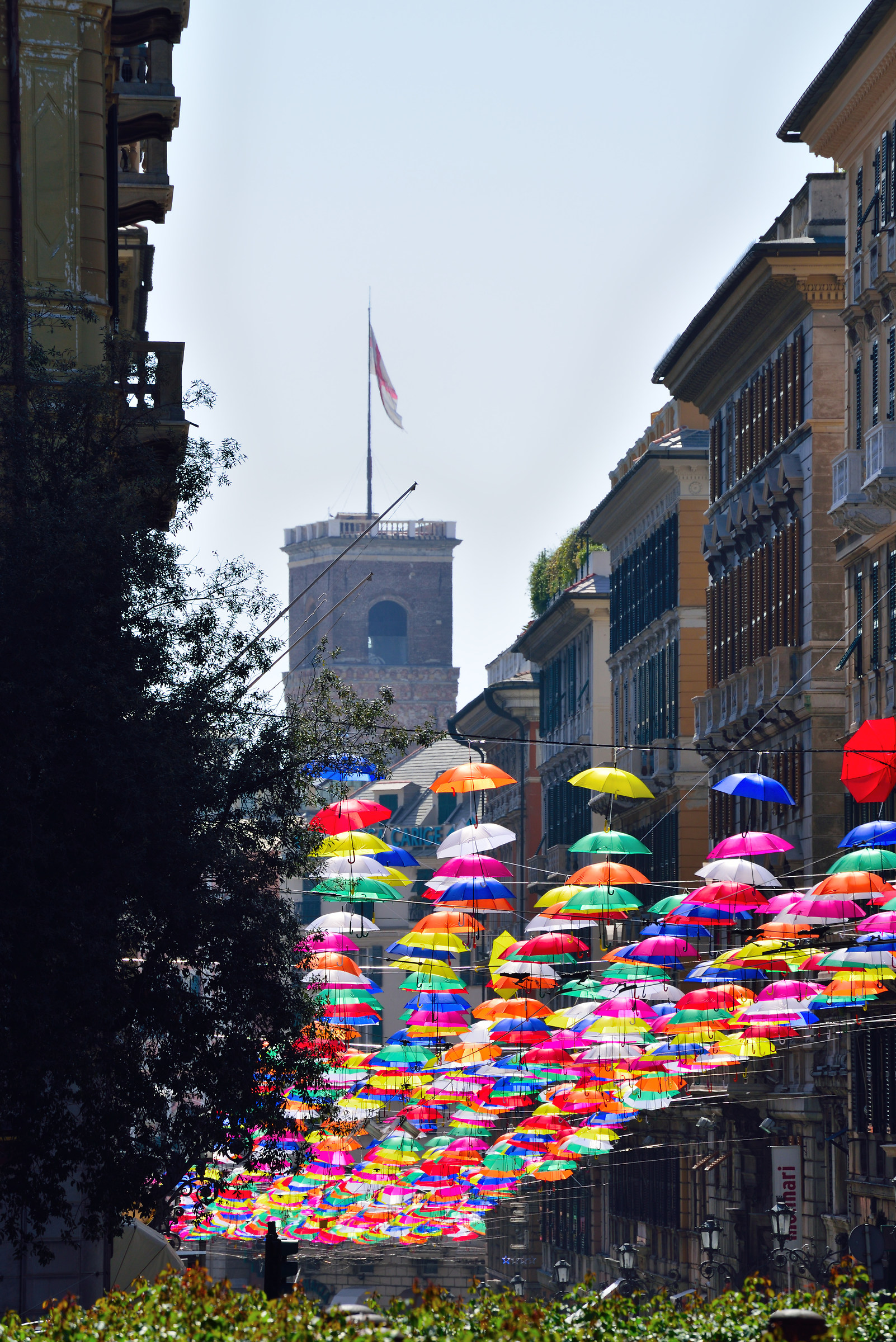 Umbrellas in the Centre 5