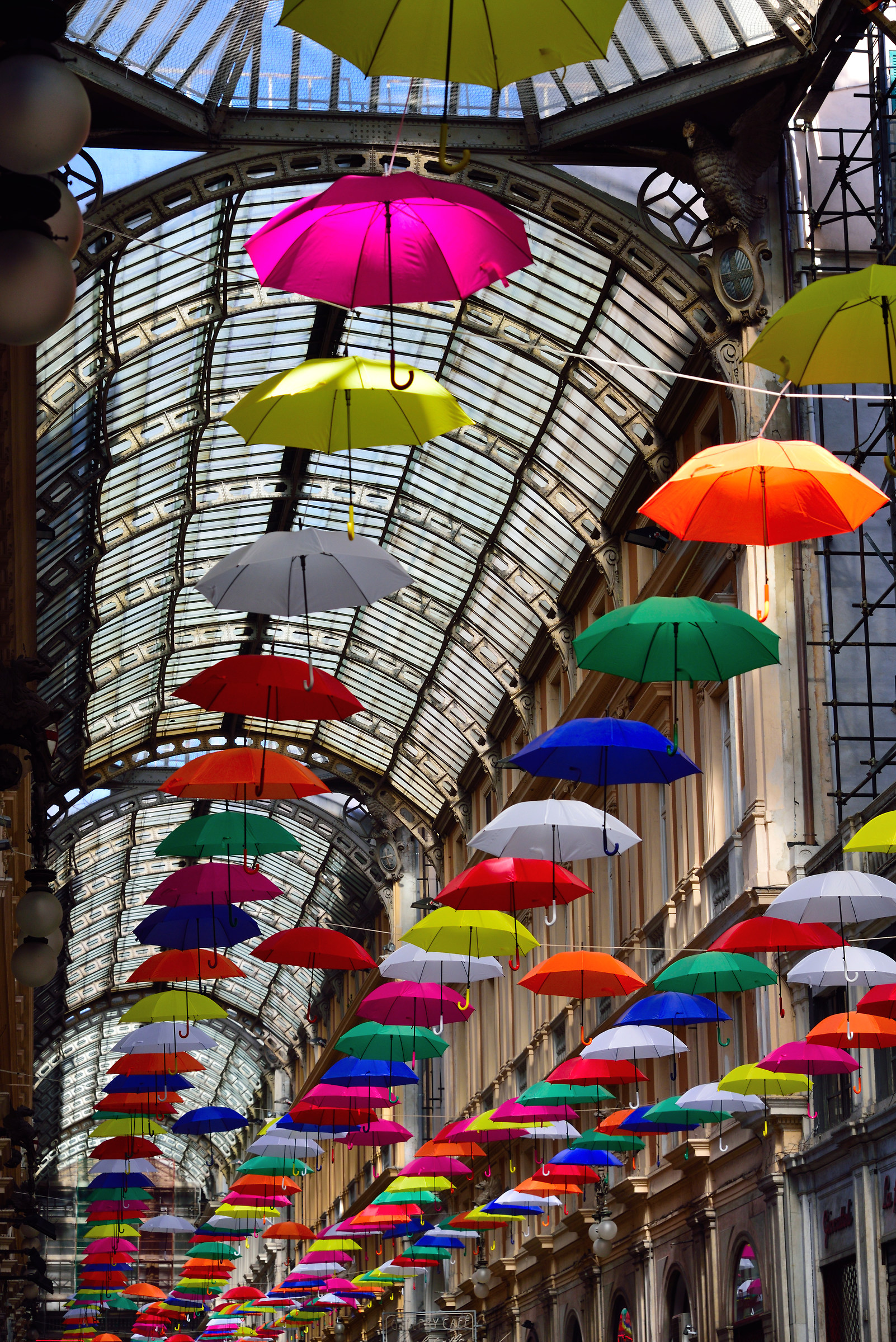 Umbrellas in the center 6