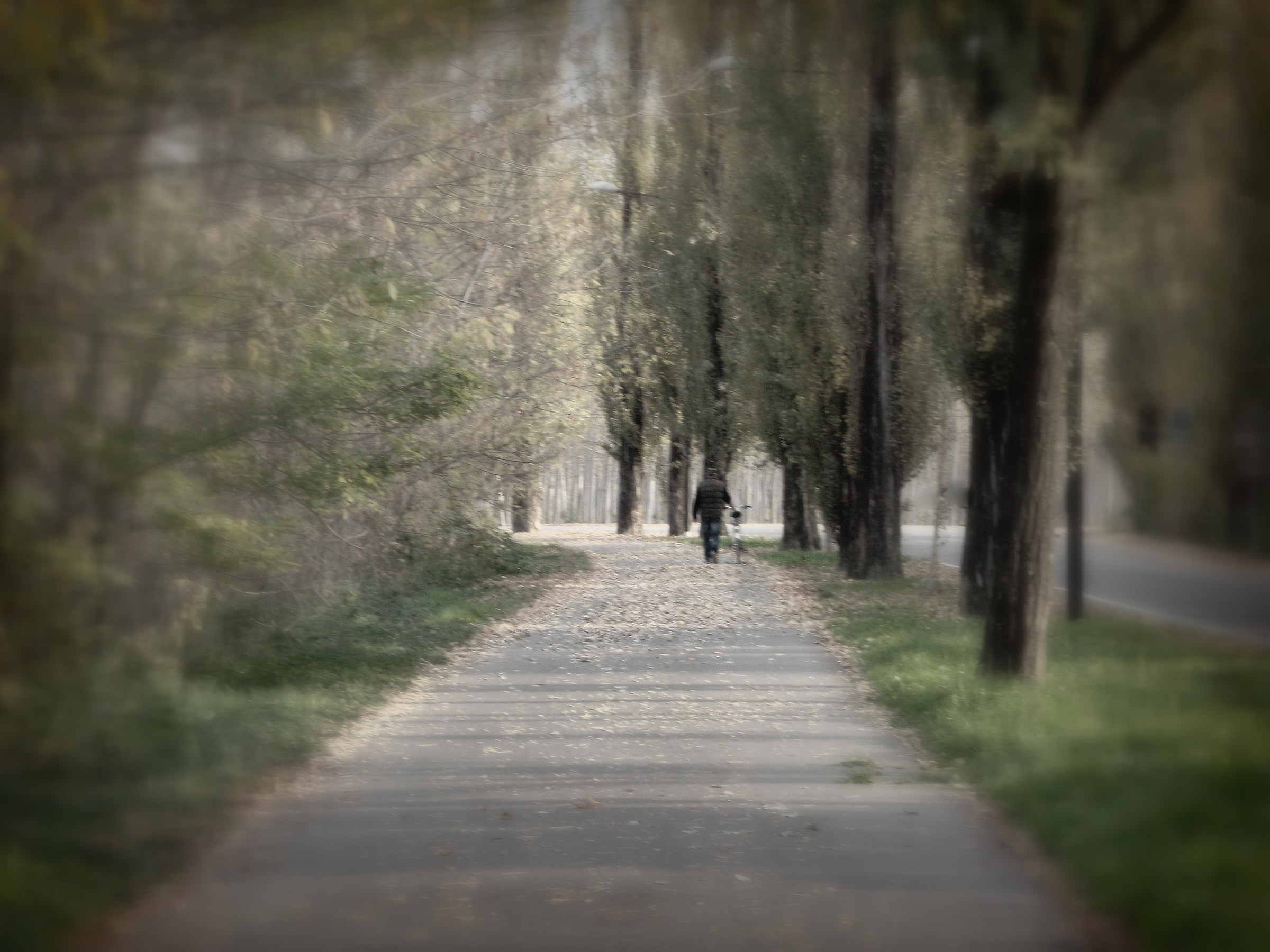 The day you left us forever