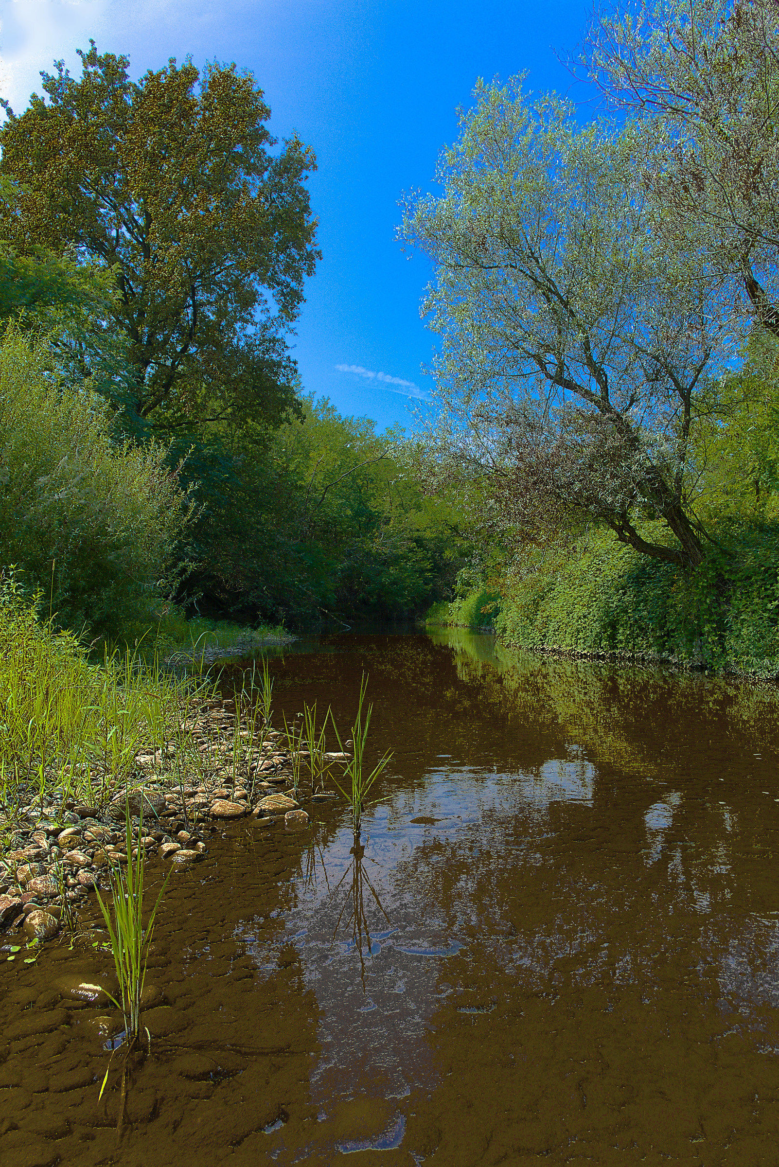 Nuovo torrente post prodotto con Gimp!