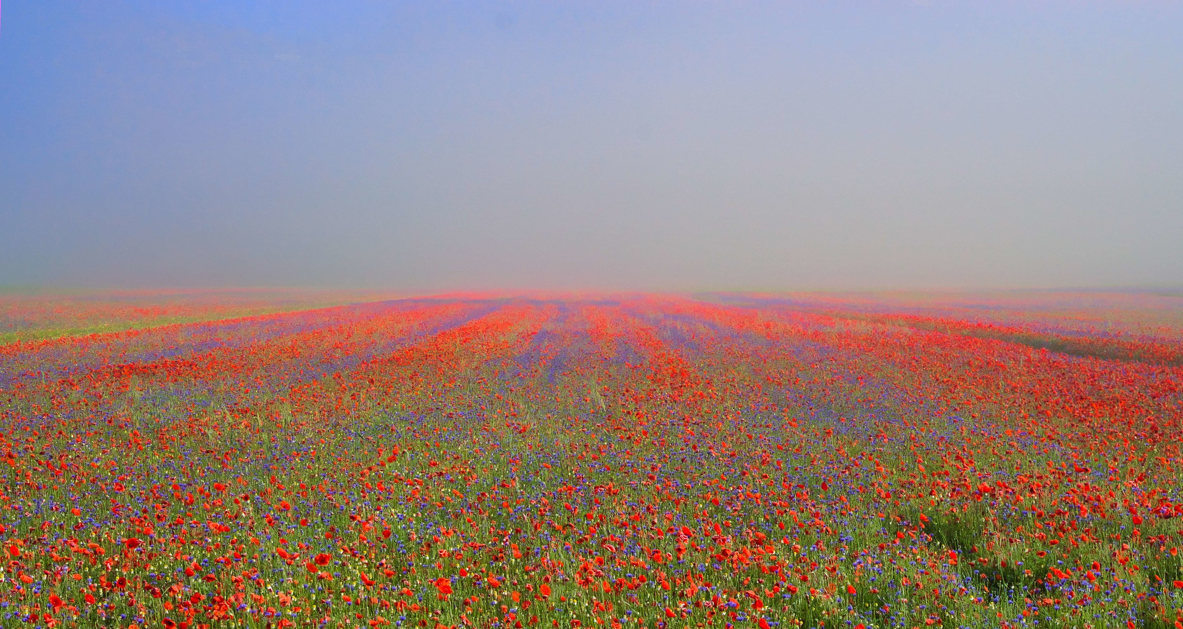 si alza la nebbia....