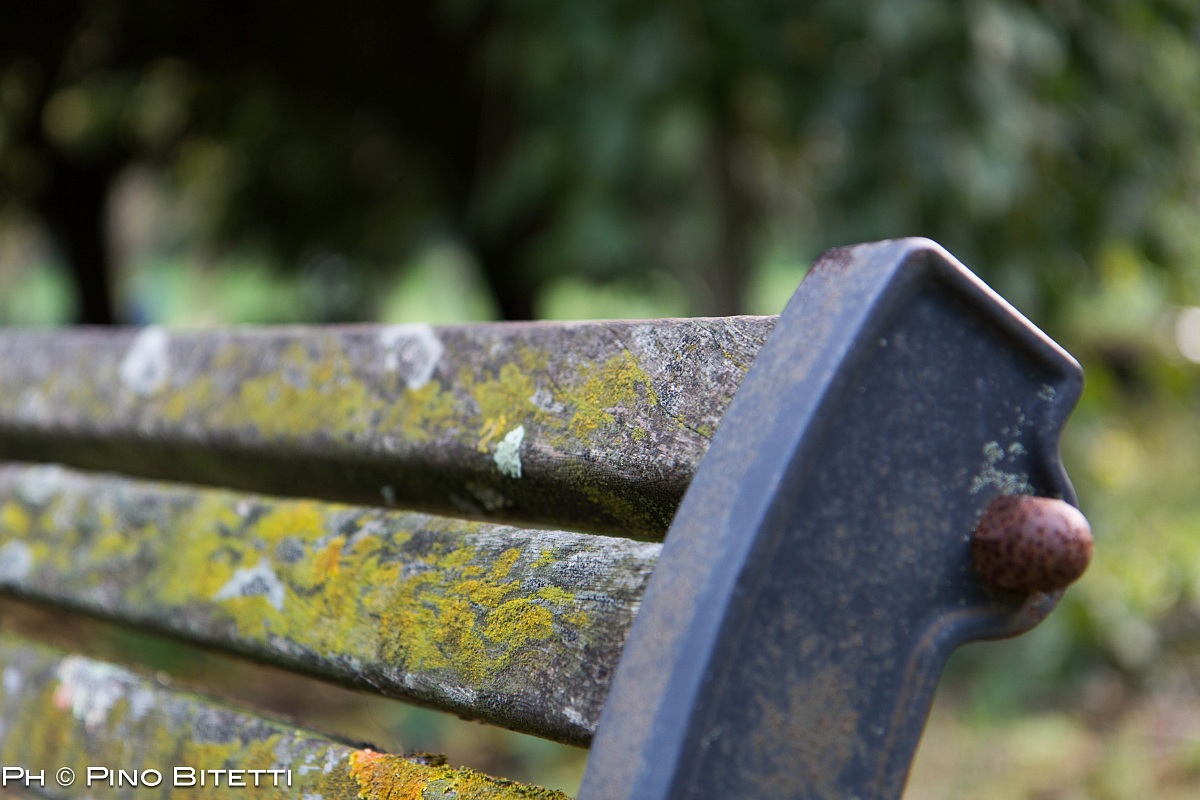 Bench