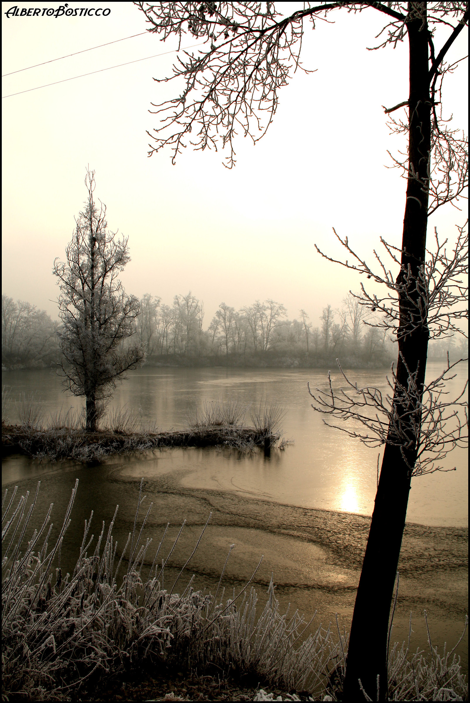 Grande gelo del 2012