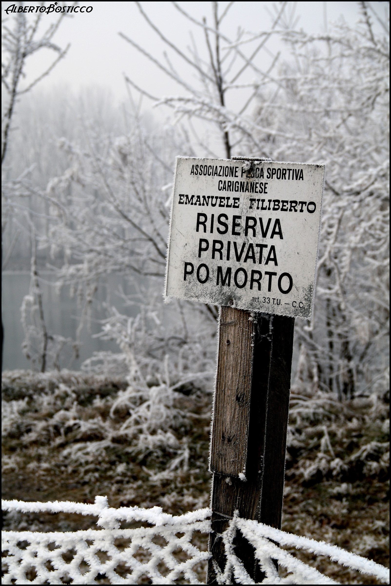 Grande gelo del 2012