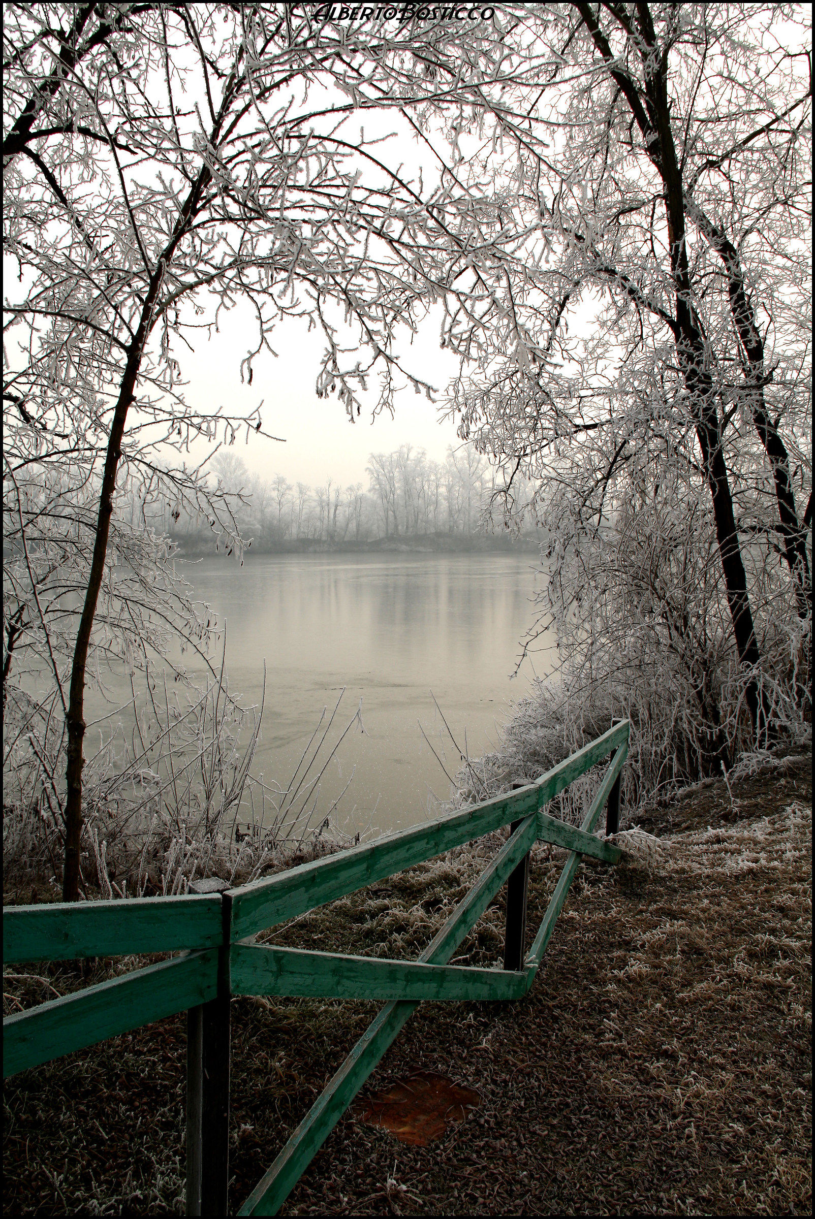 Grande gelo del 2012