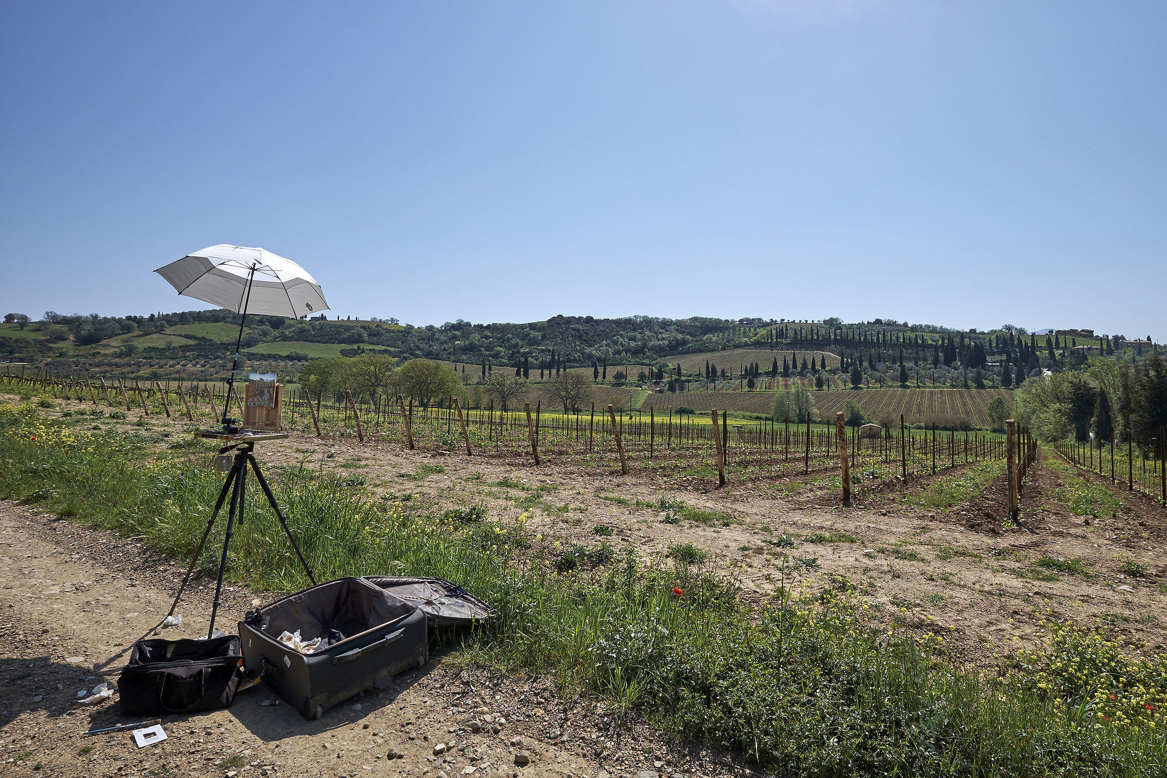 In the hills of Montalcino