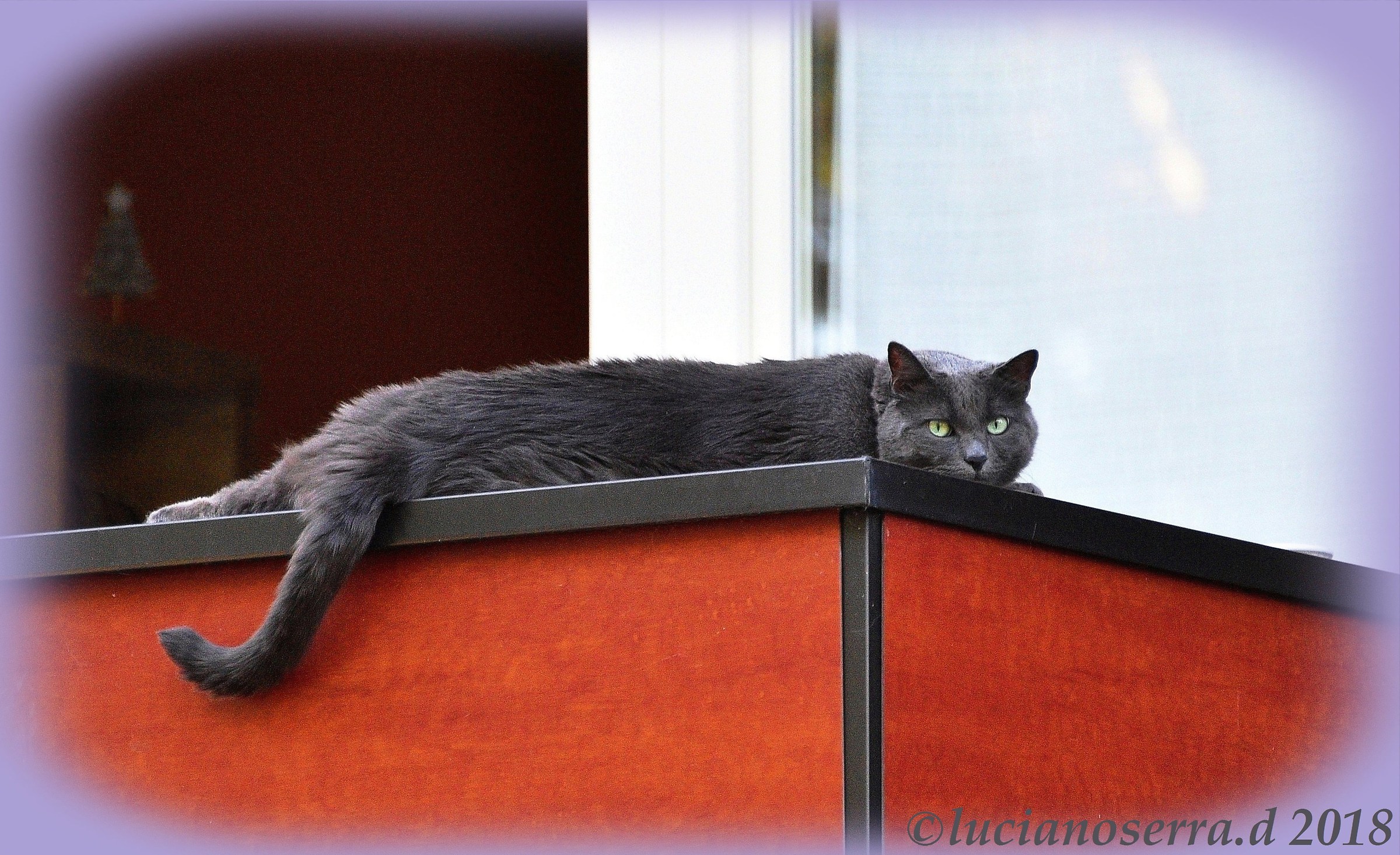 Ehi, fotografo... ne hai ancora per molto?