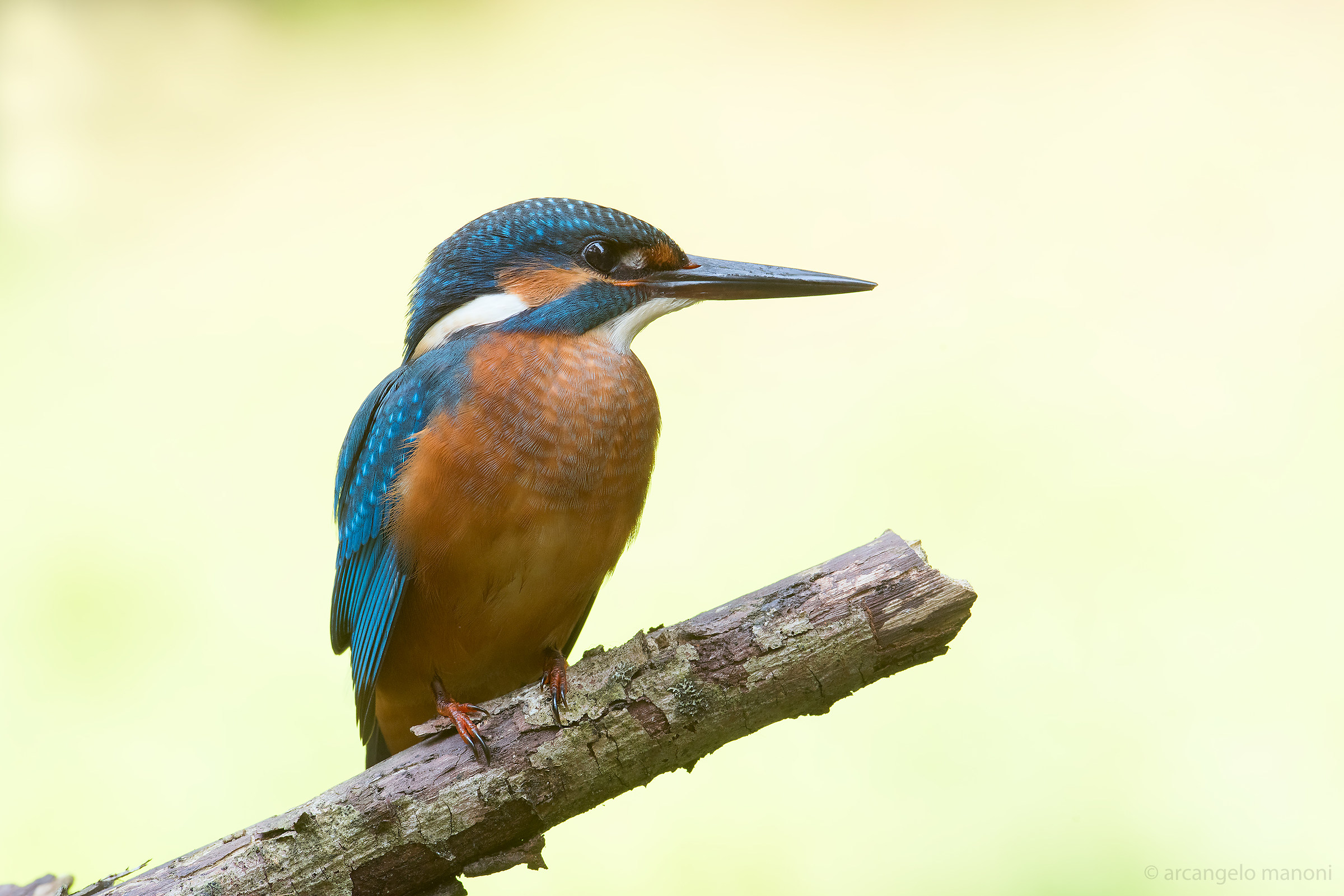 Martino in Val di Luce