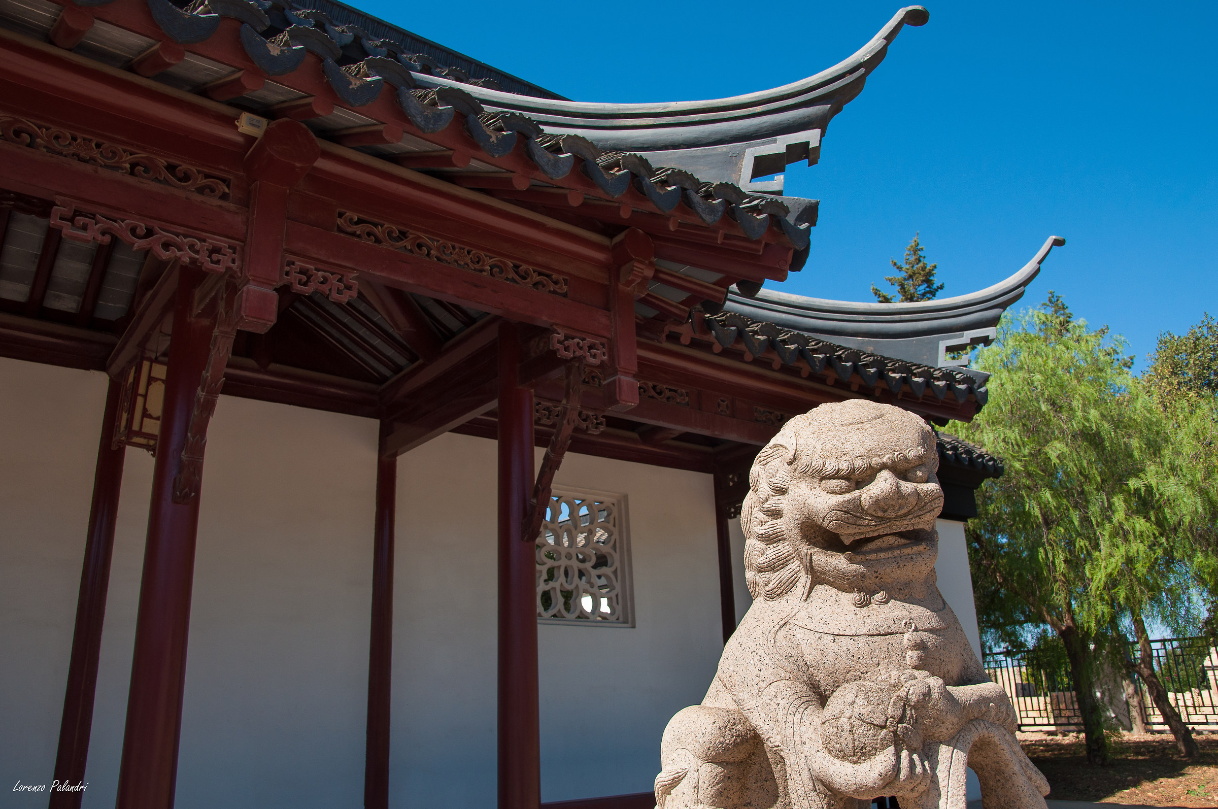 A glimpse of a distant world