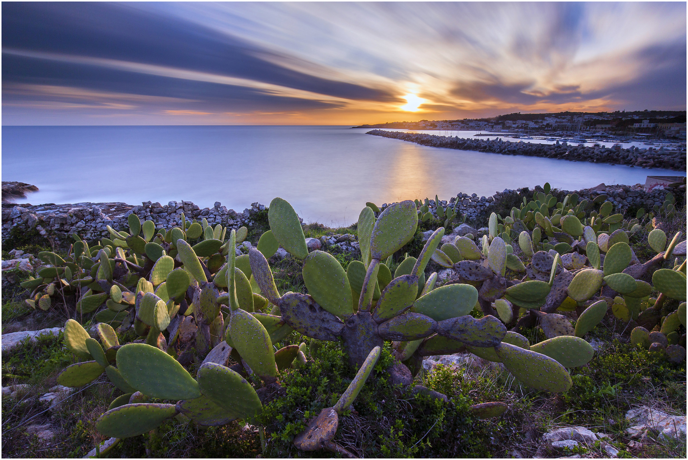 una cartolina da s.m. Leuca