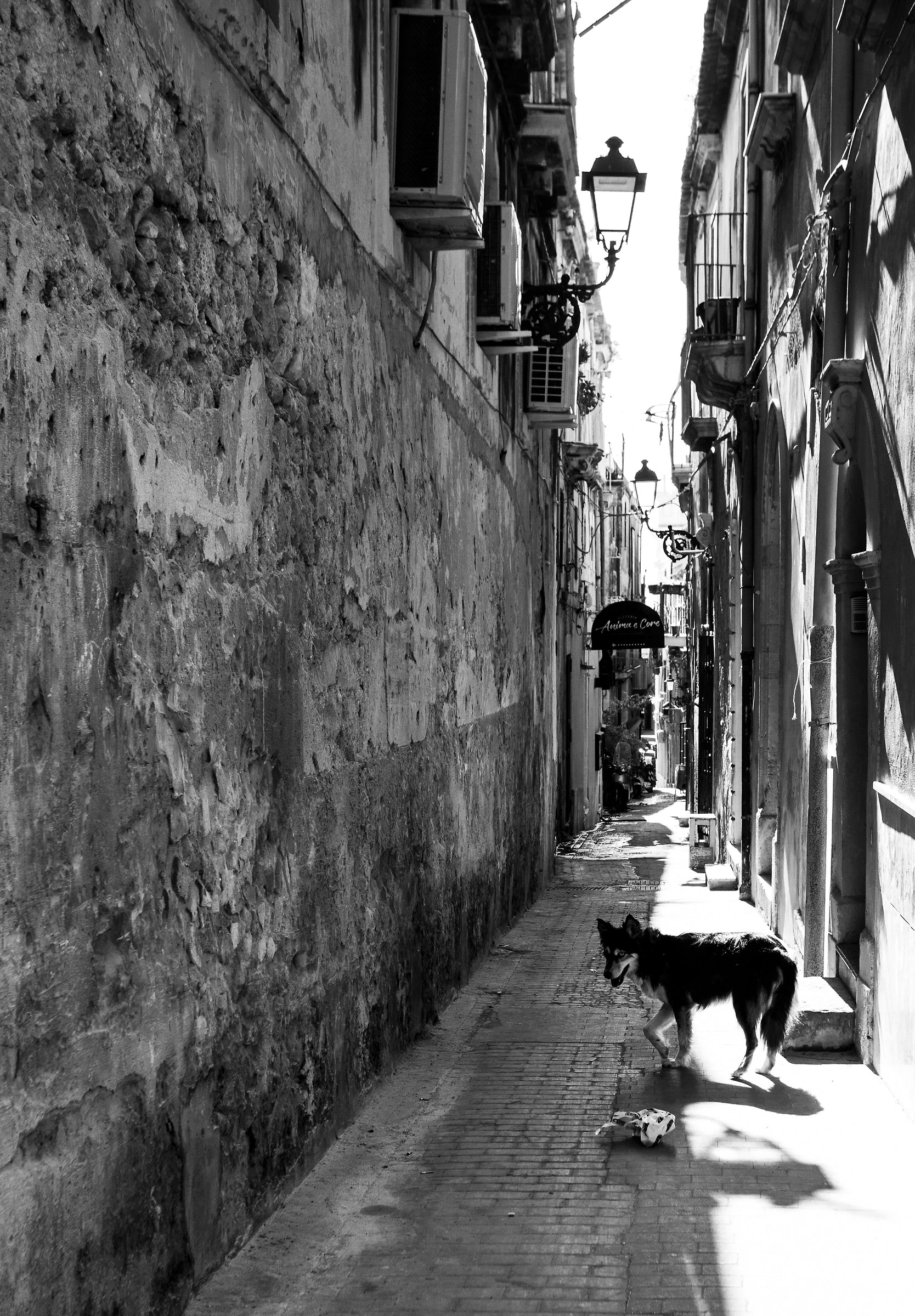 Siracusa, particolare