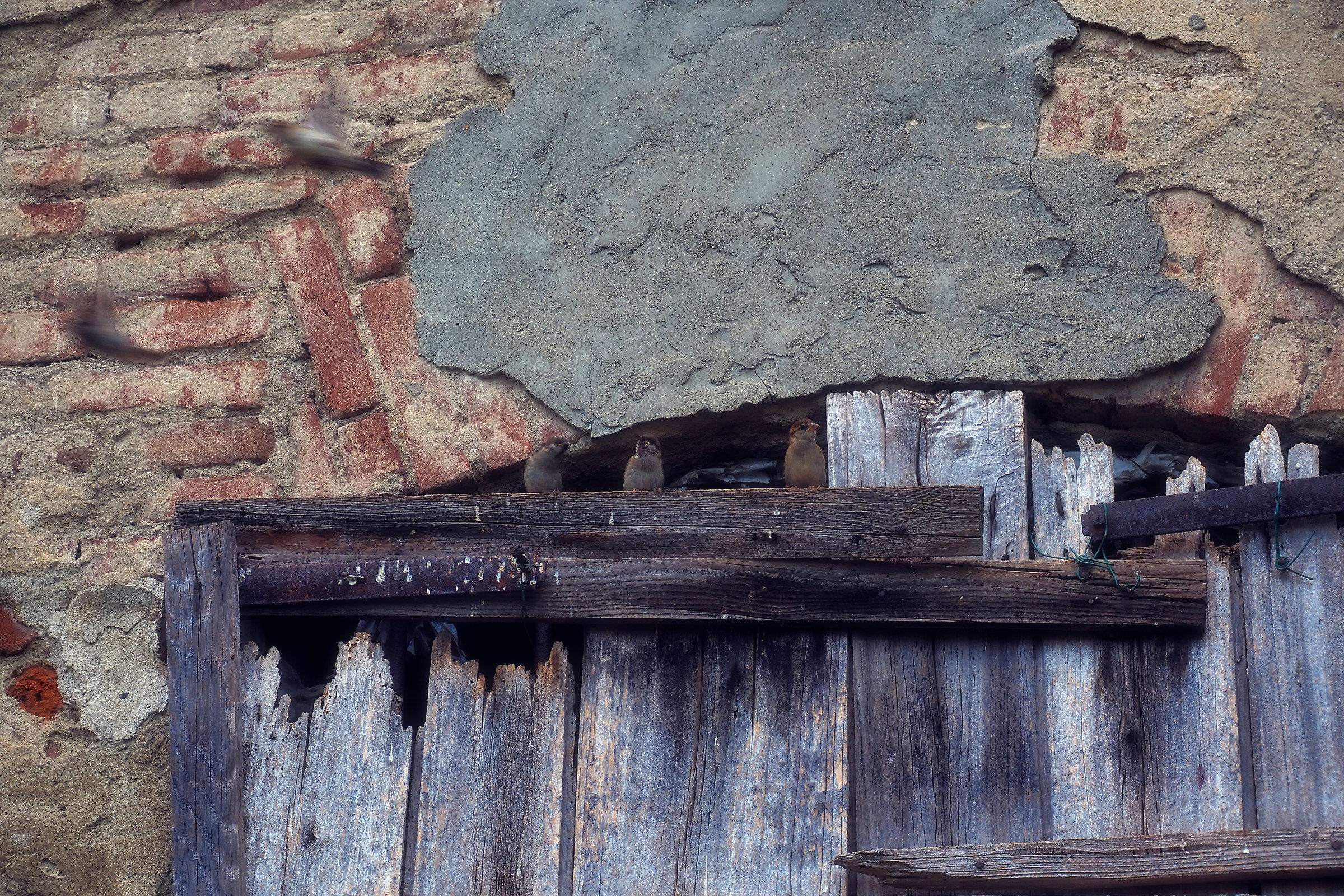 Che dite, ce ne andiamo anche noi?