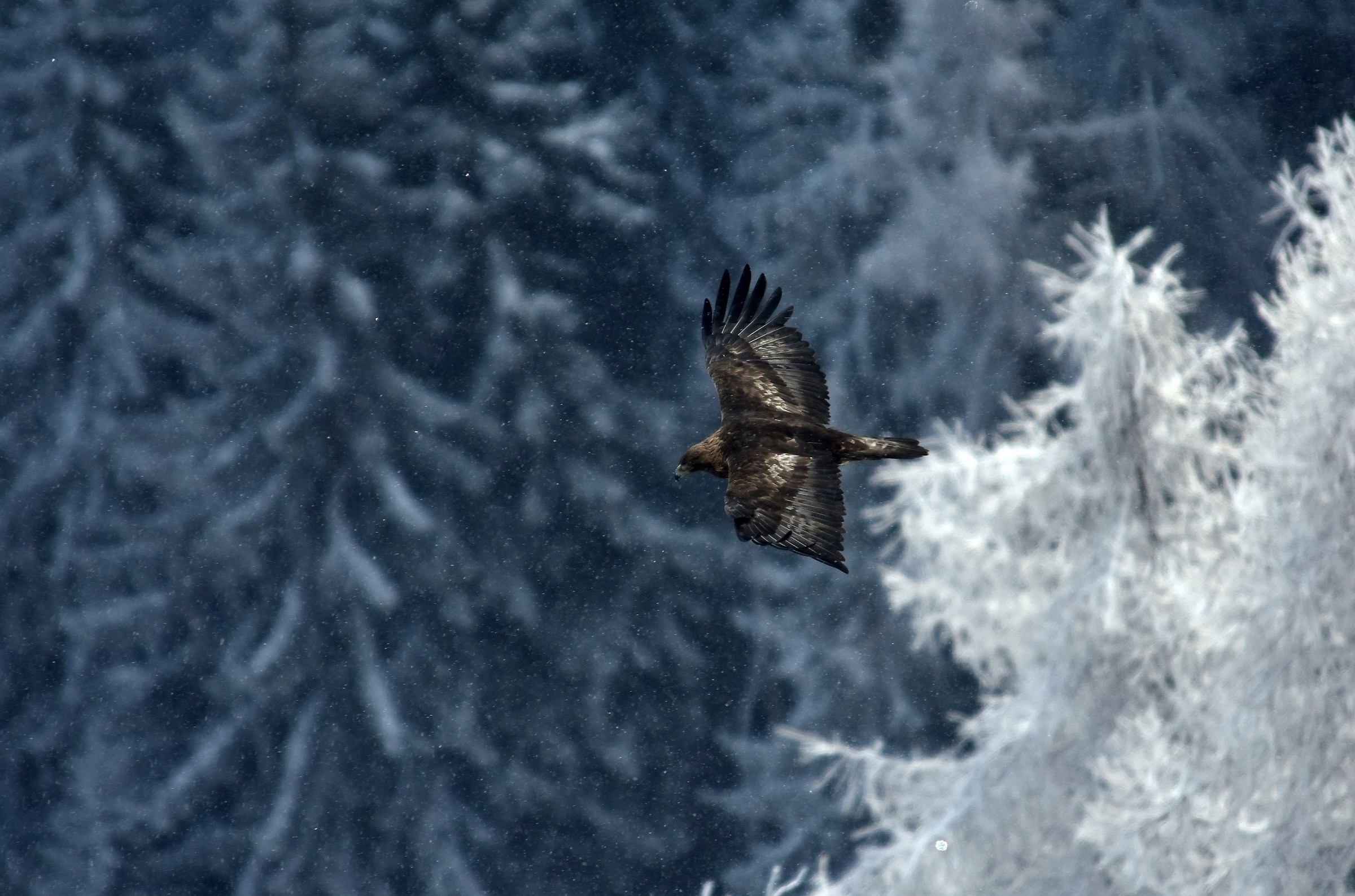 Negli abissi del cielo.