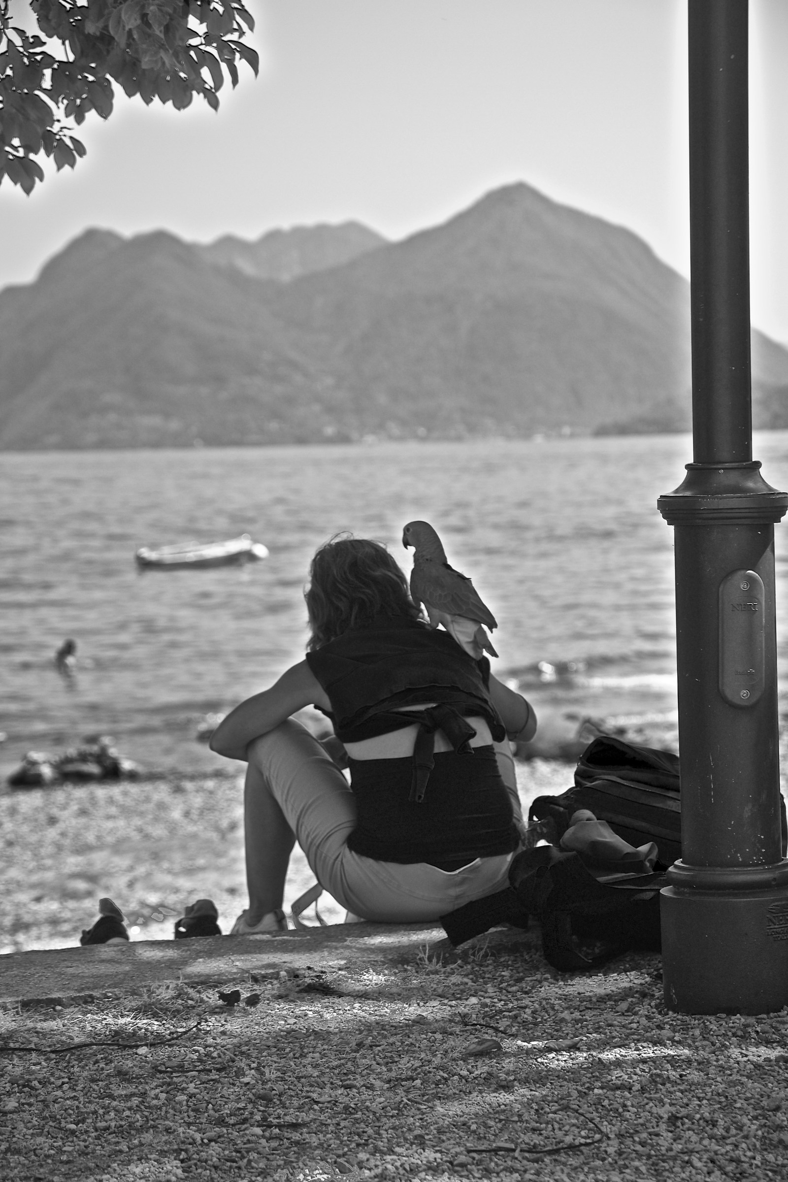 The Piratessa of Lake