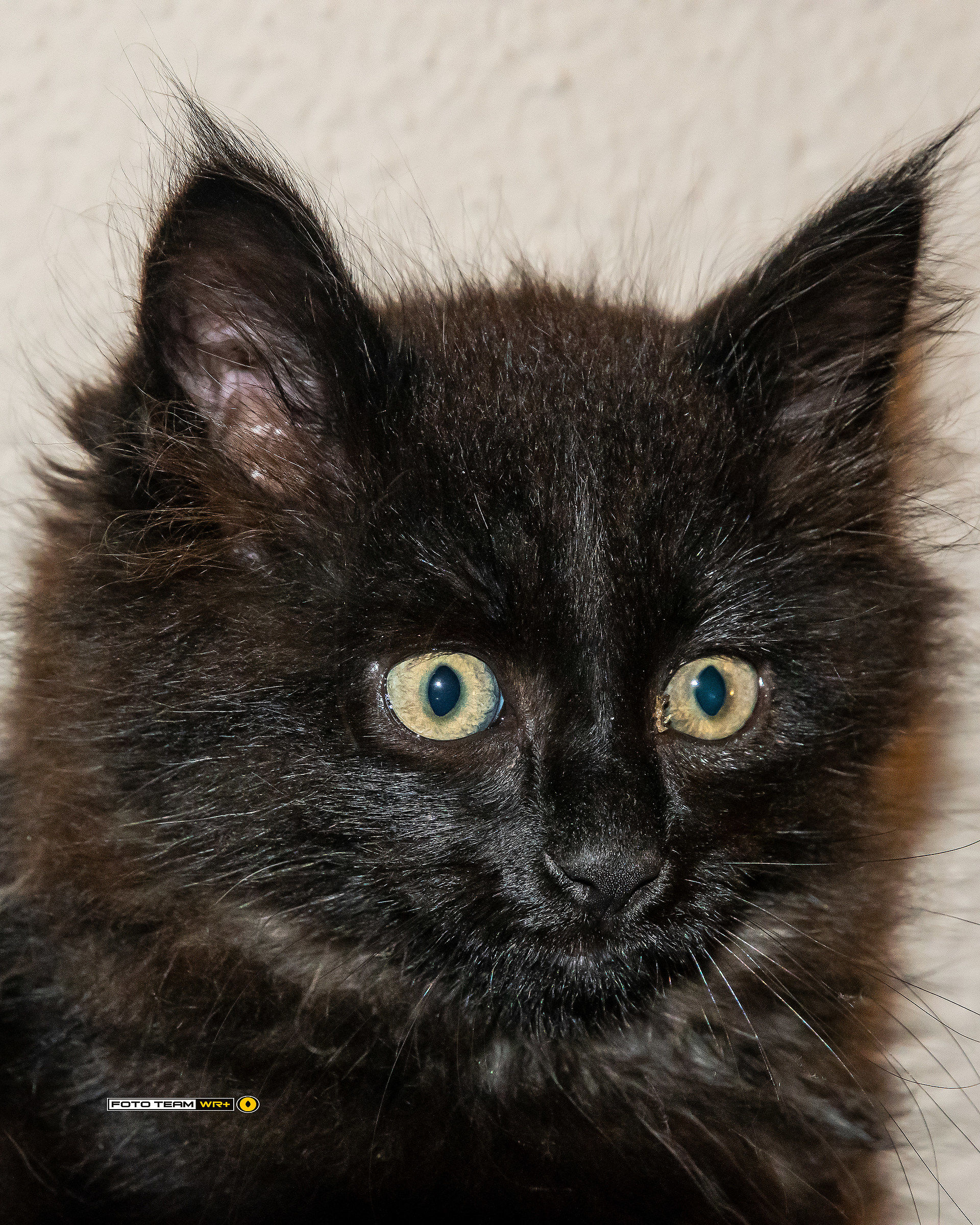 Eih tu, si tu, lo sai che ci sono anch'io !!!!