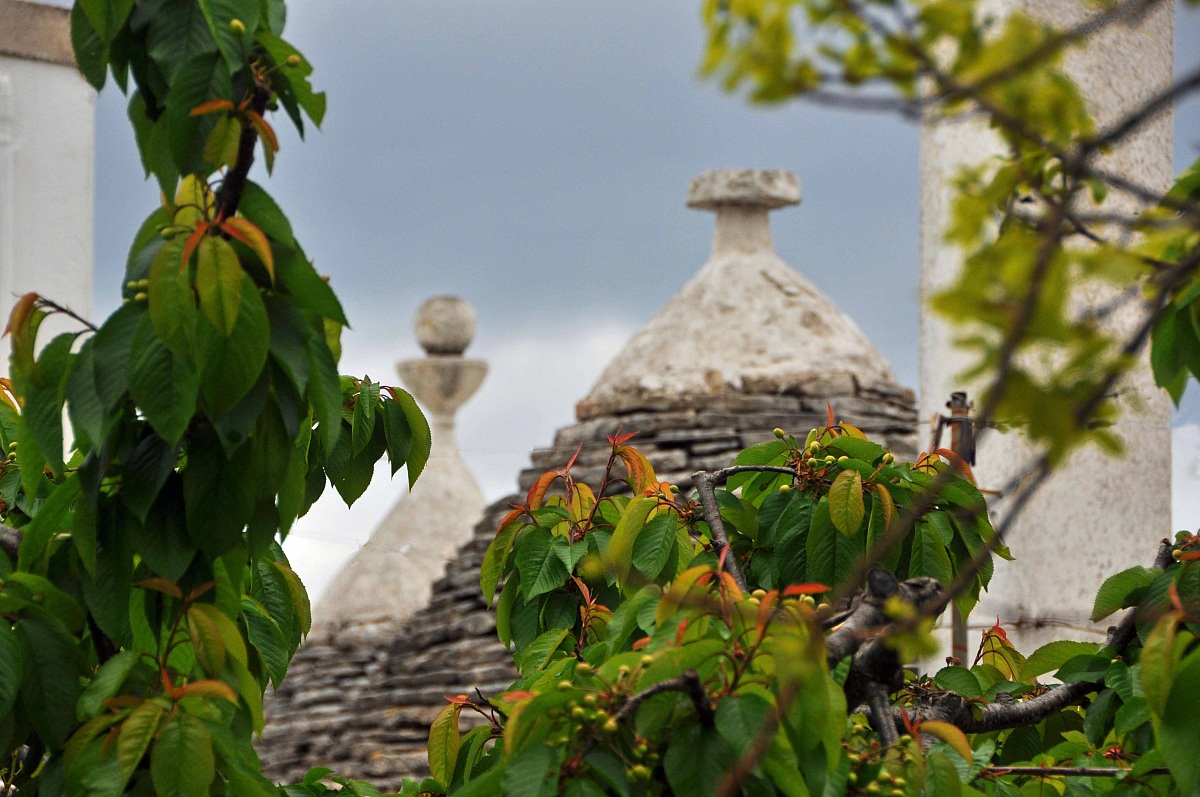 Puglia Alberobello