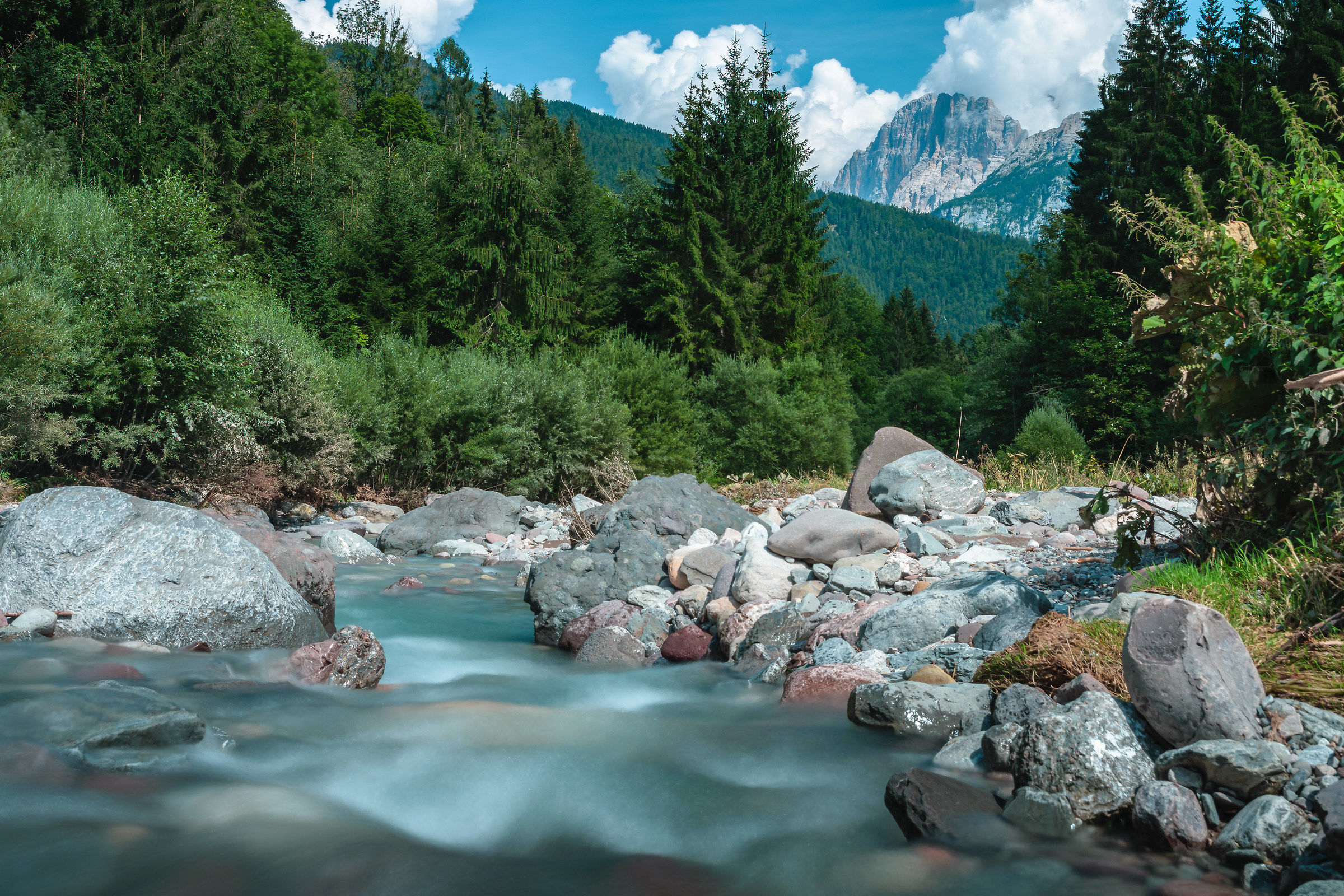La natura dietro casa