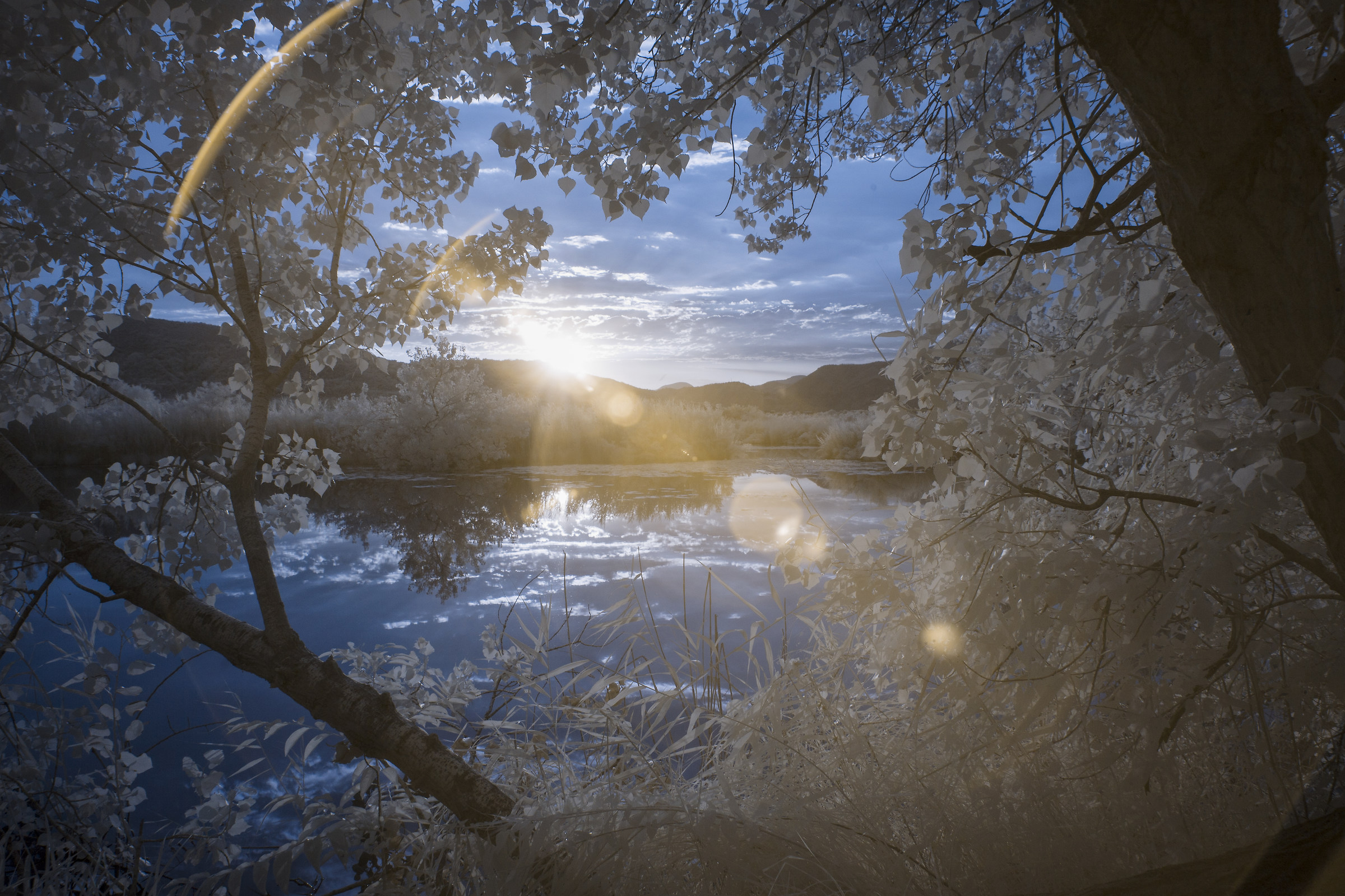 Sebino-IR Peat Boers