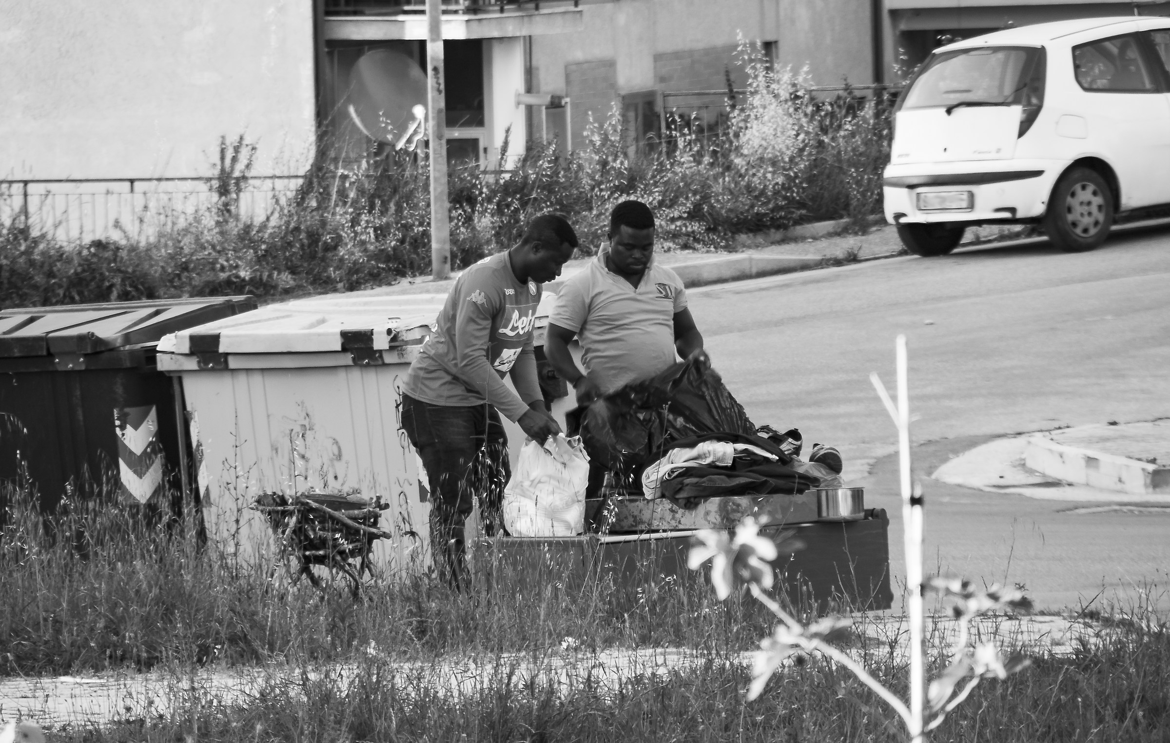 Burrowing immigrants among the bins of differentiated