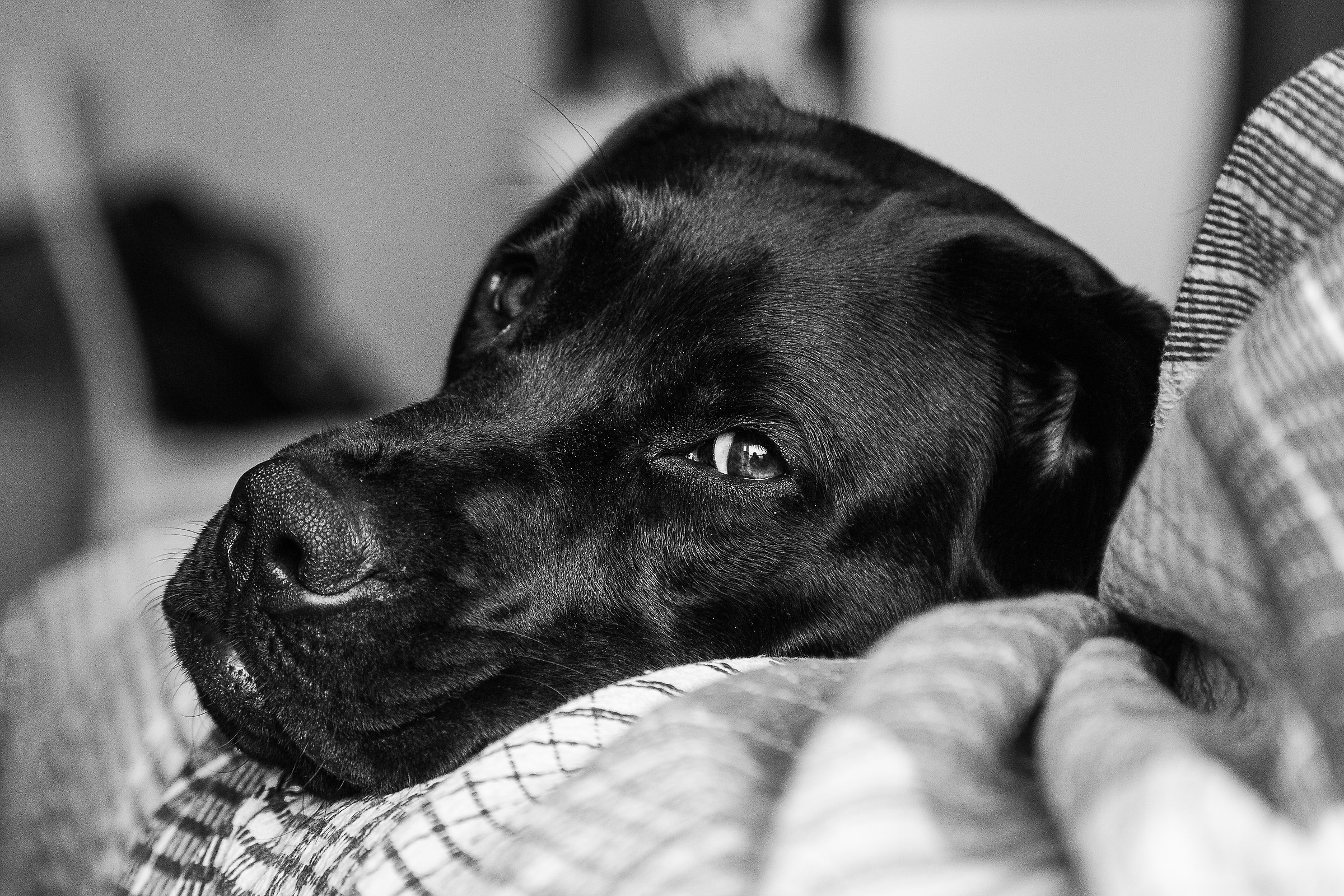 Even today you don't come out