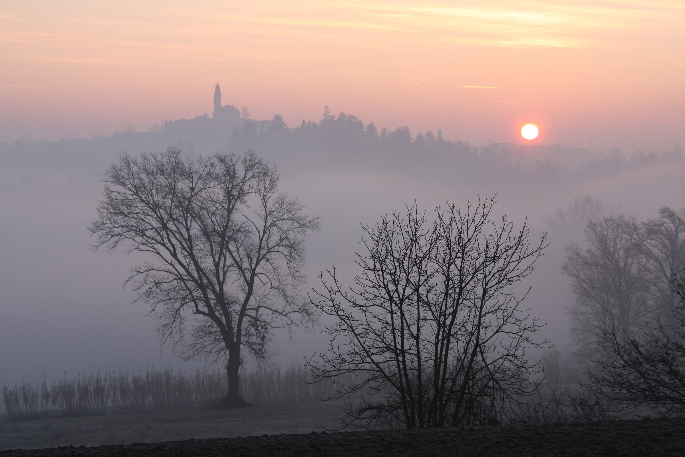 Le brume del Monferrato