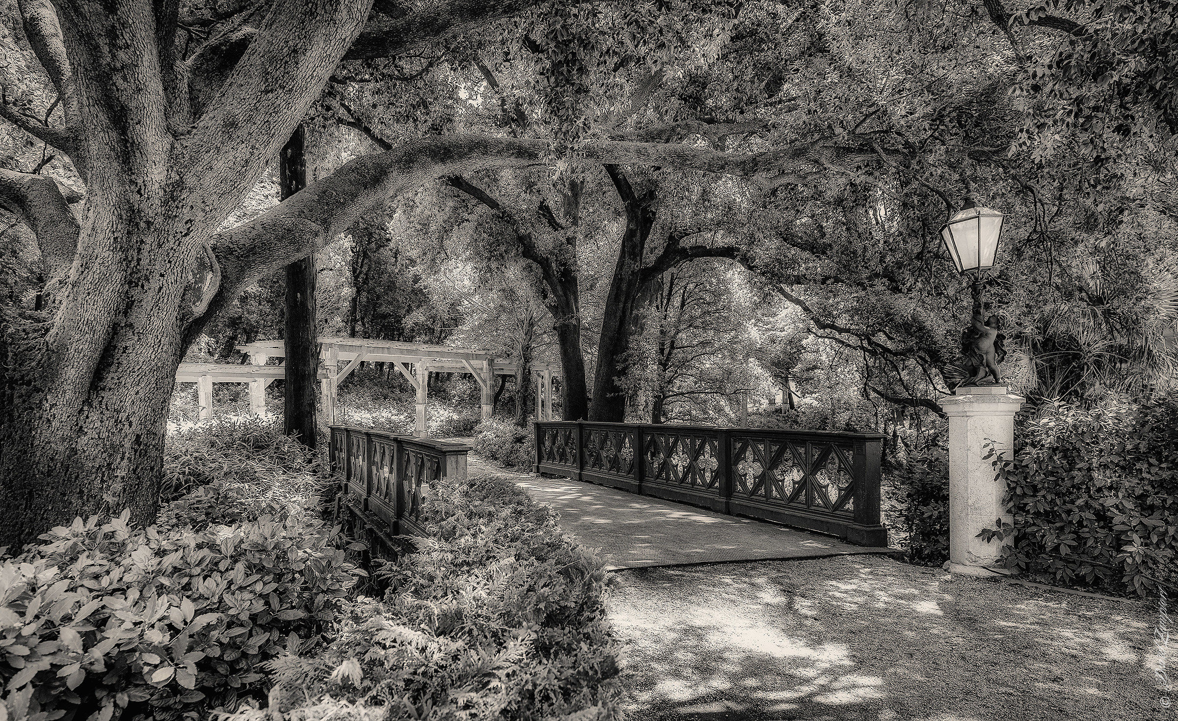 ponticello - Castello Miramare