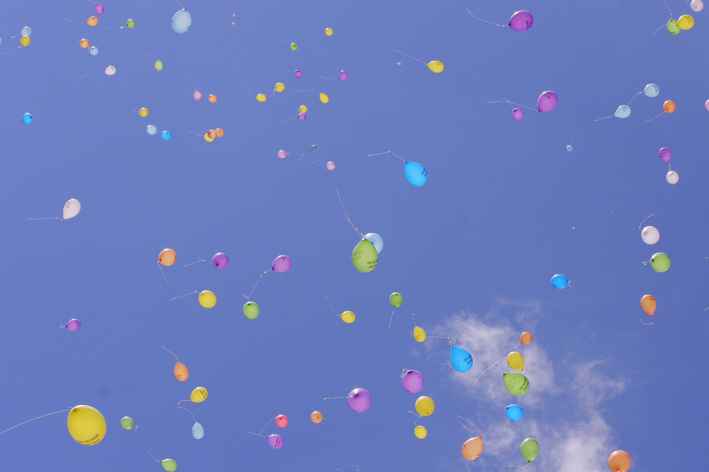 Palloncini a carnevale
