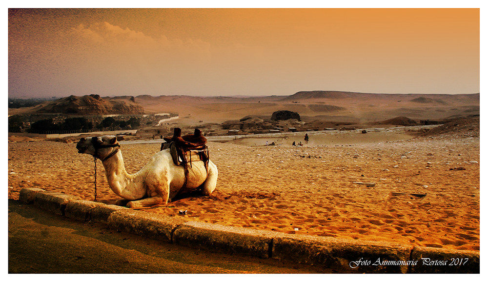 Tramonto nel deserto