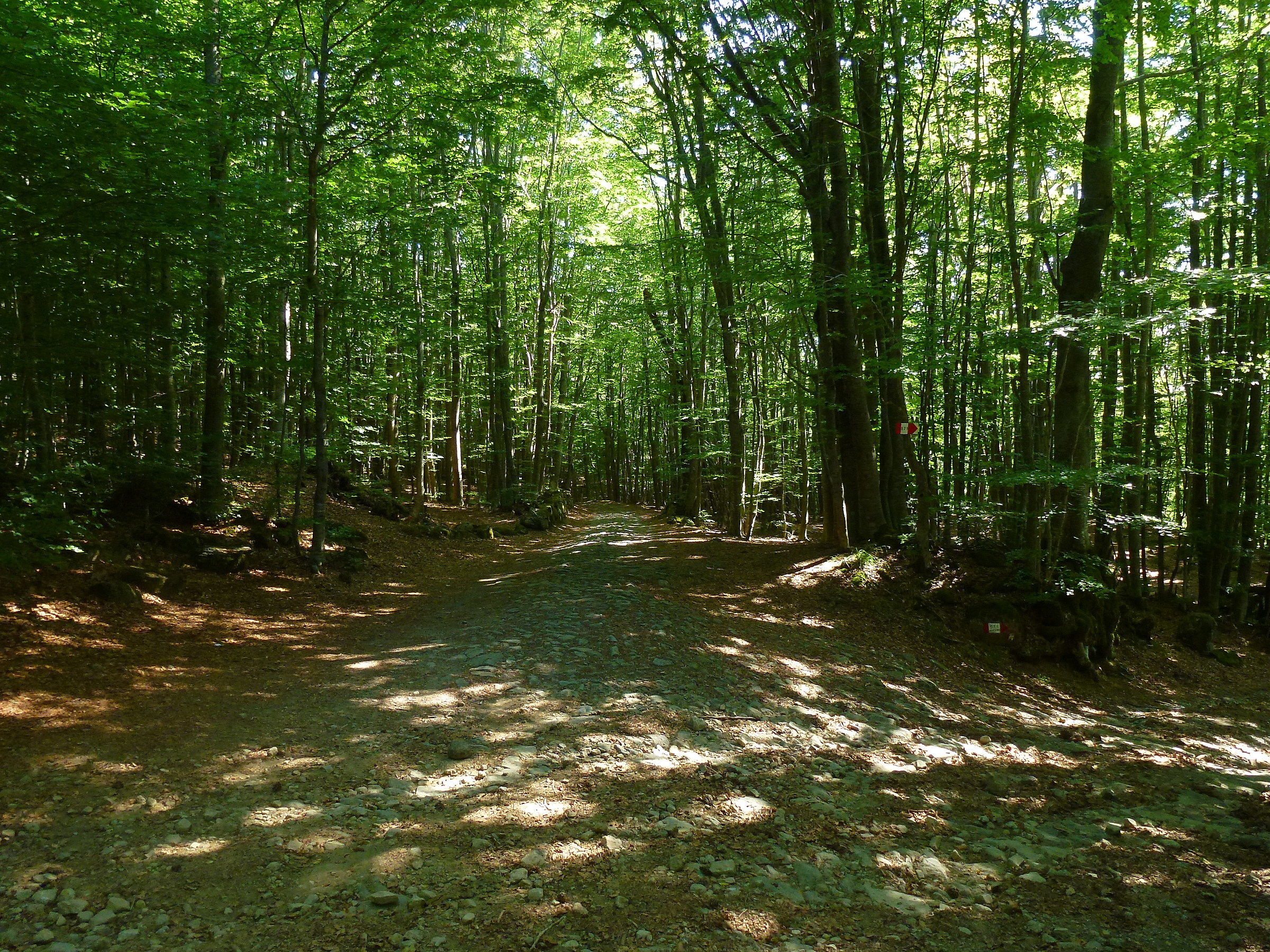 La Via Vandelli - Pievepelago (mo)