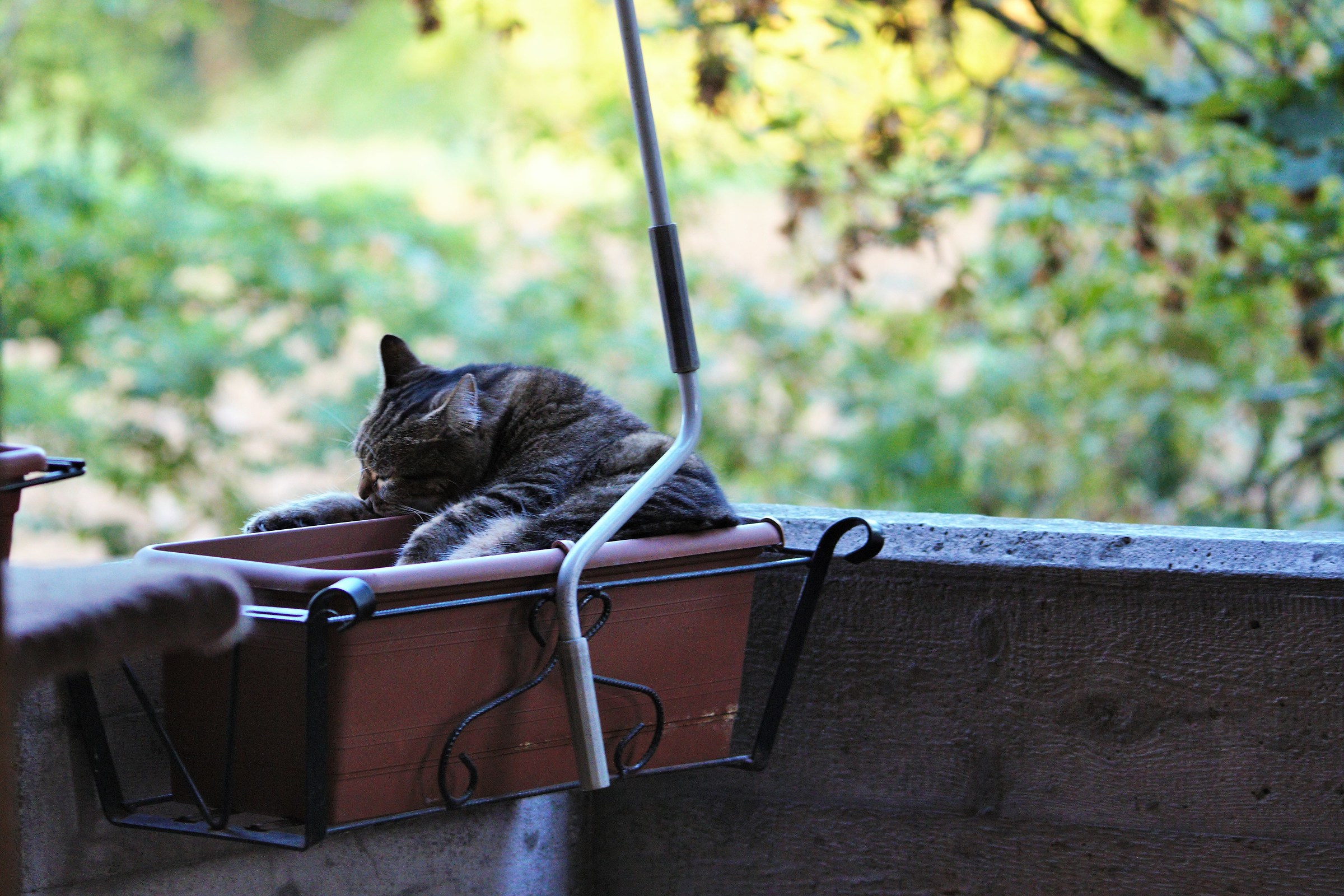 Sssssssssssss you sleep.