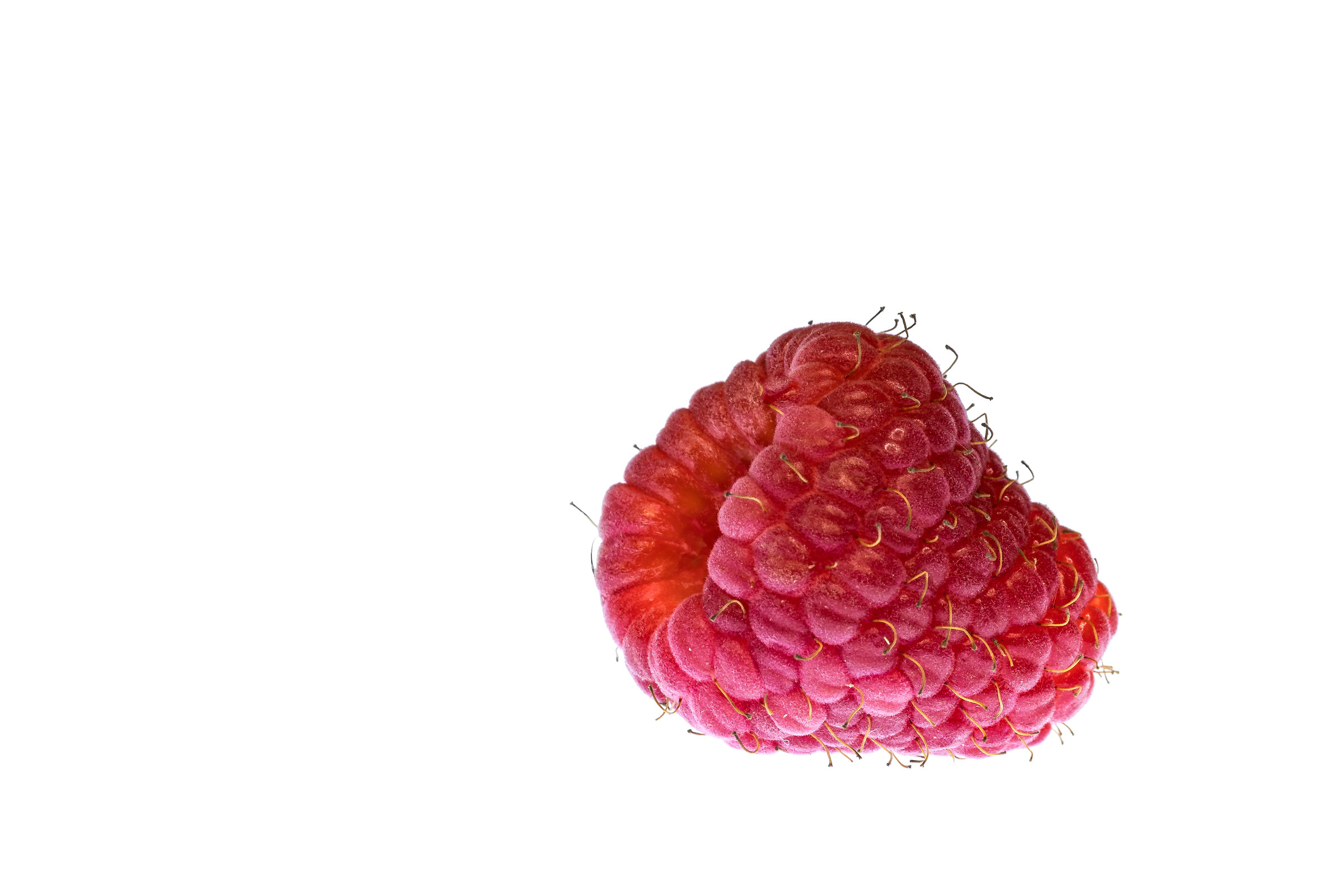 Raspberry