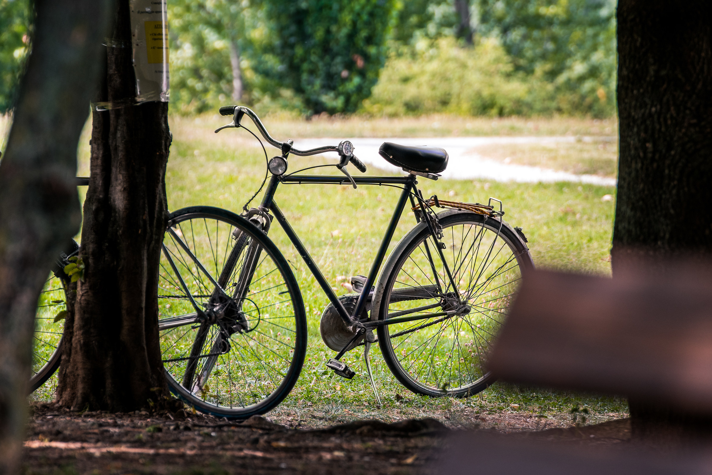 La bicicletta del parco.