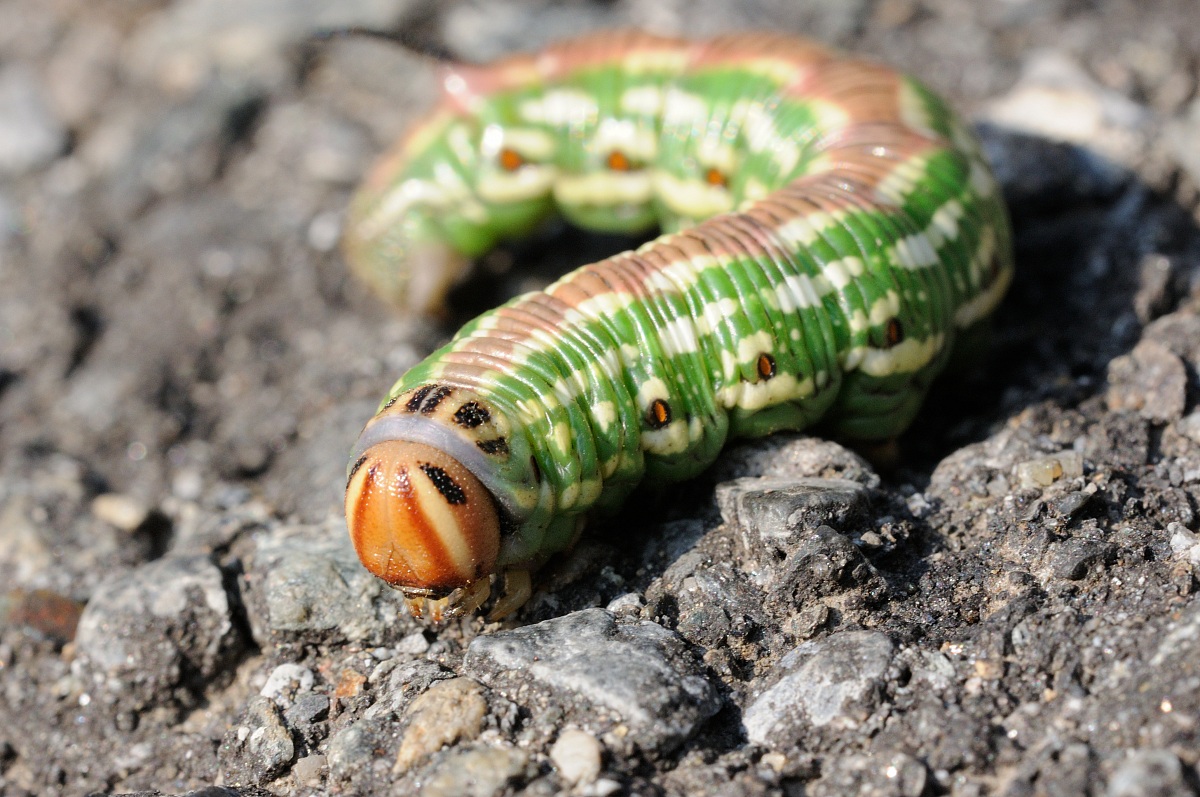 Strani incontri fuori casa