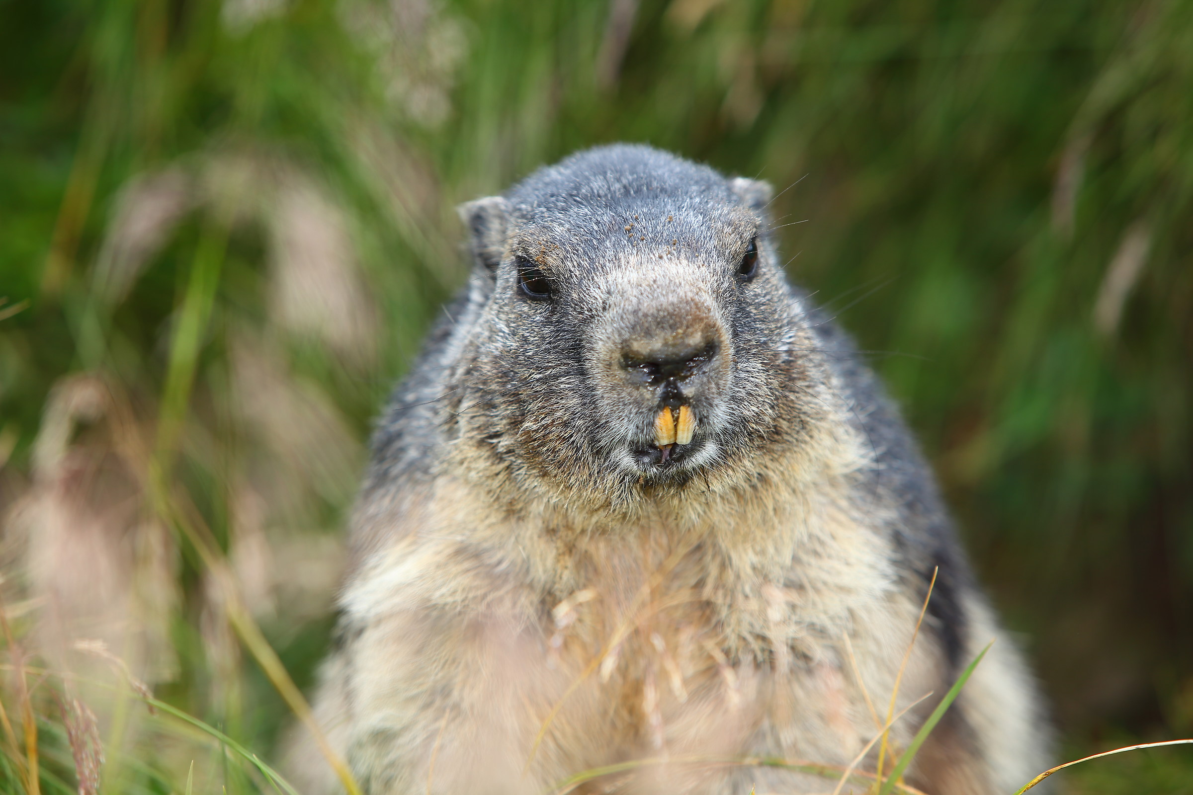 On the doorstep of the house