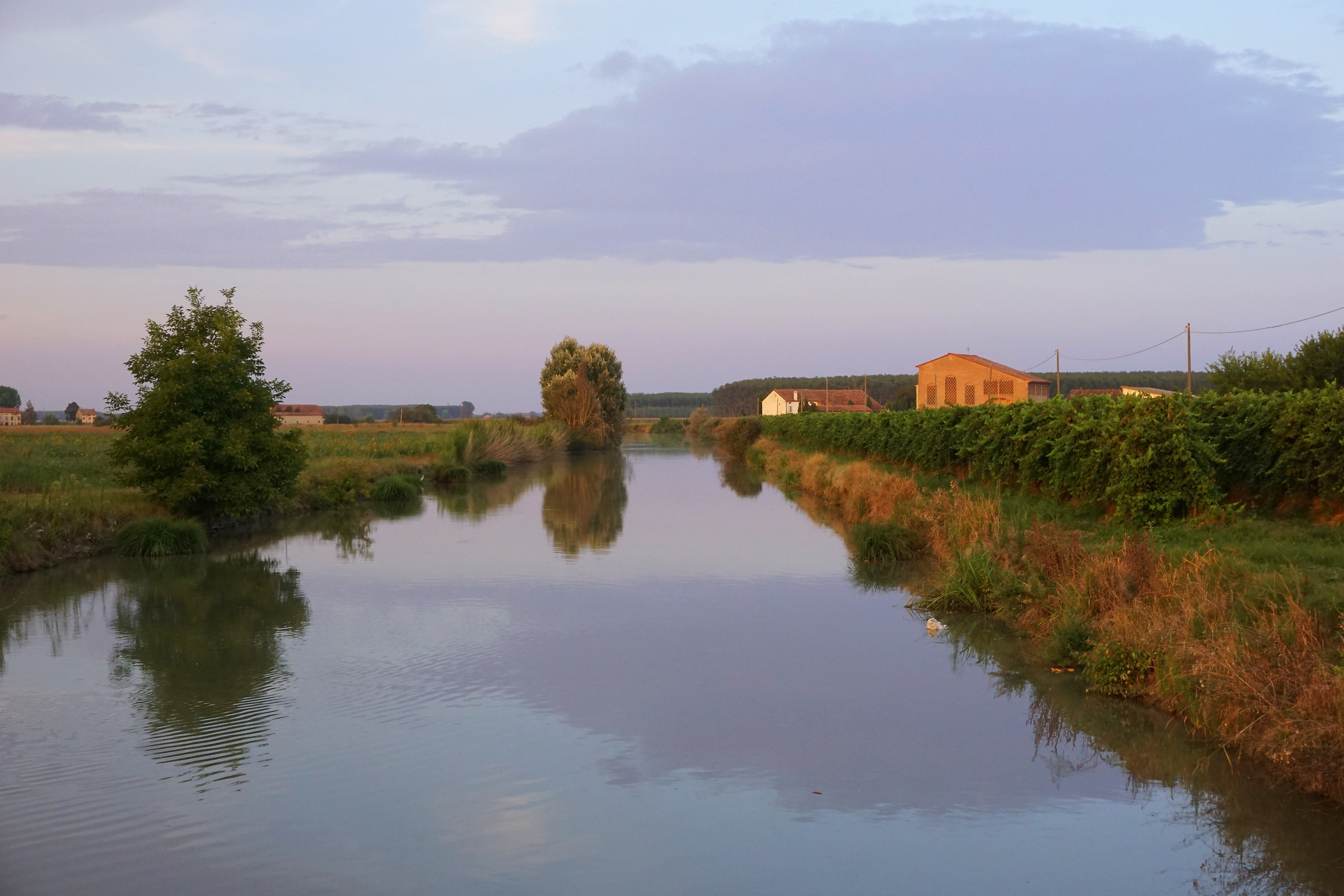 Evening on the canal