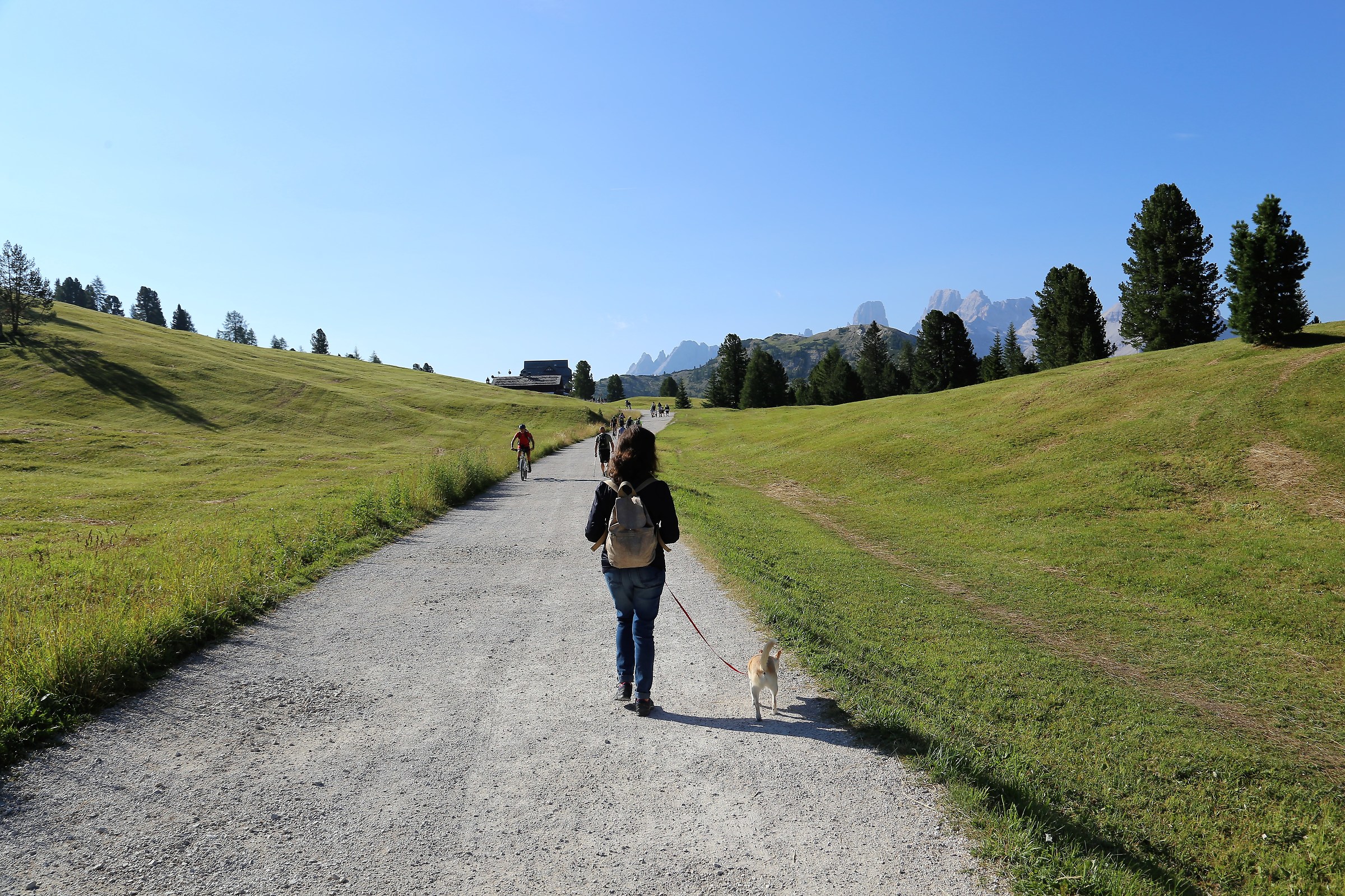 Walk... in high altitude