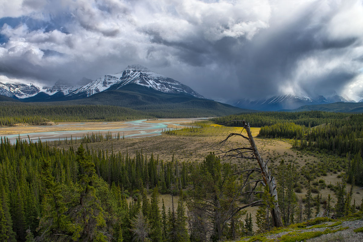 Icefield Parkway, Alberta - CA, 3 RAW blend