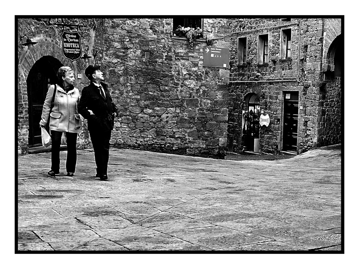 Poi...vede gli Asini volare...