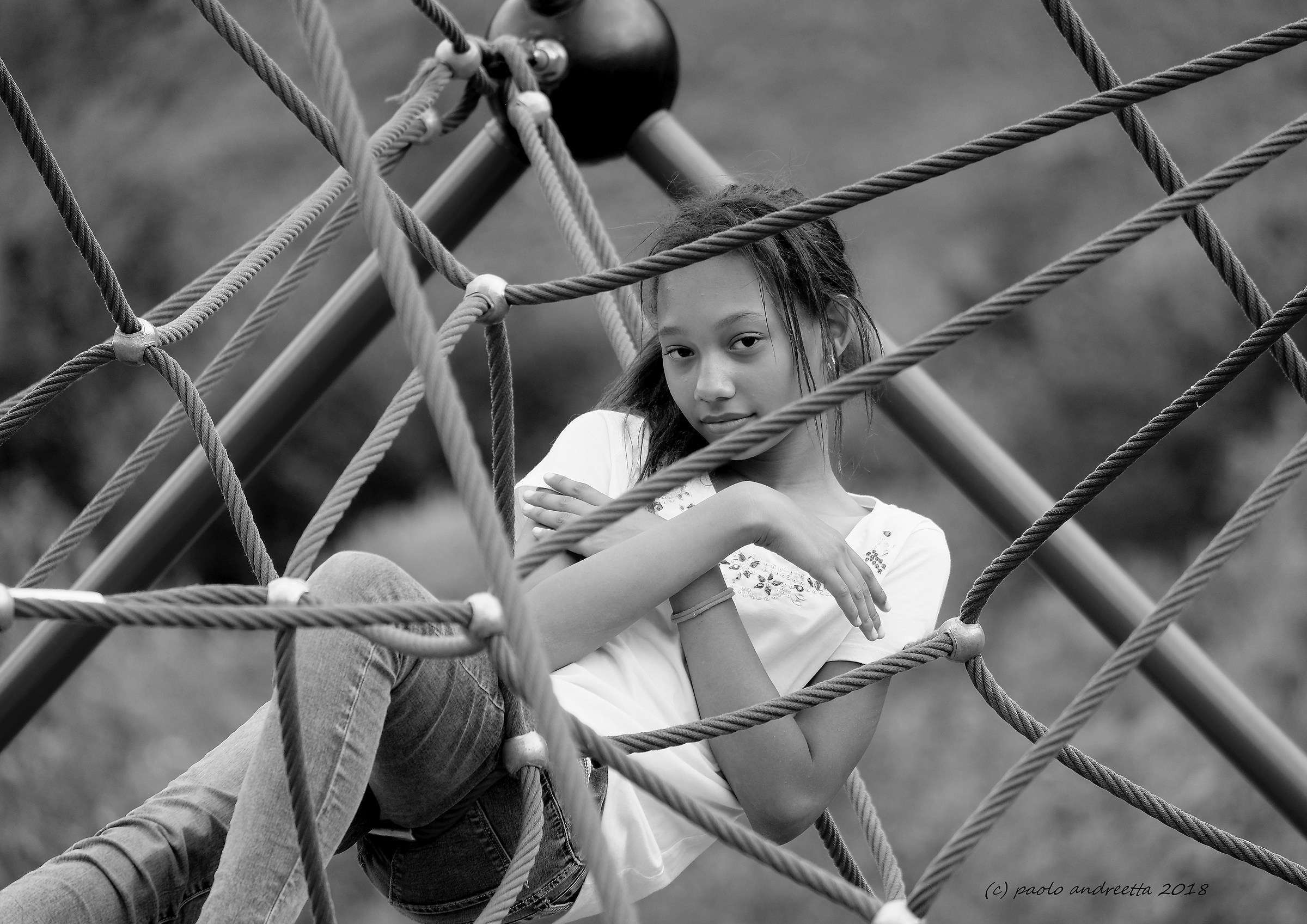 nella tela del ragno