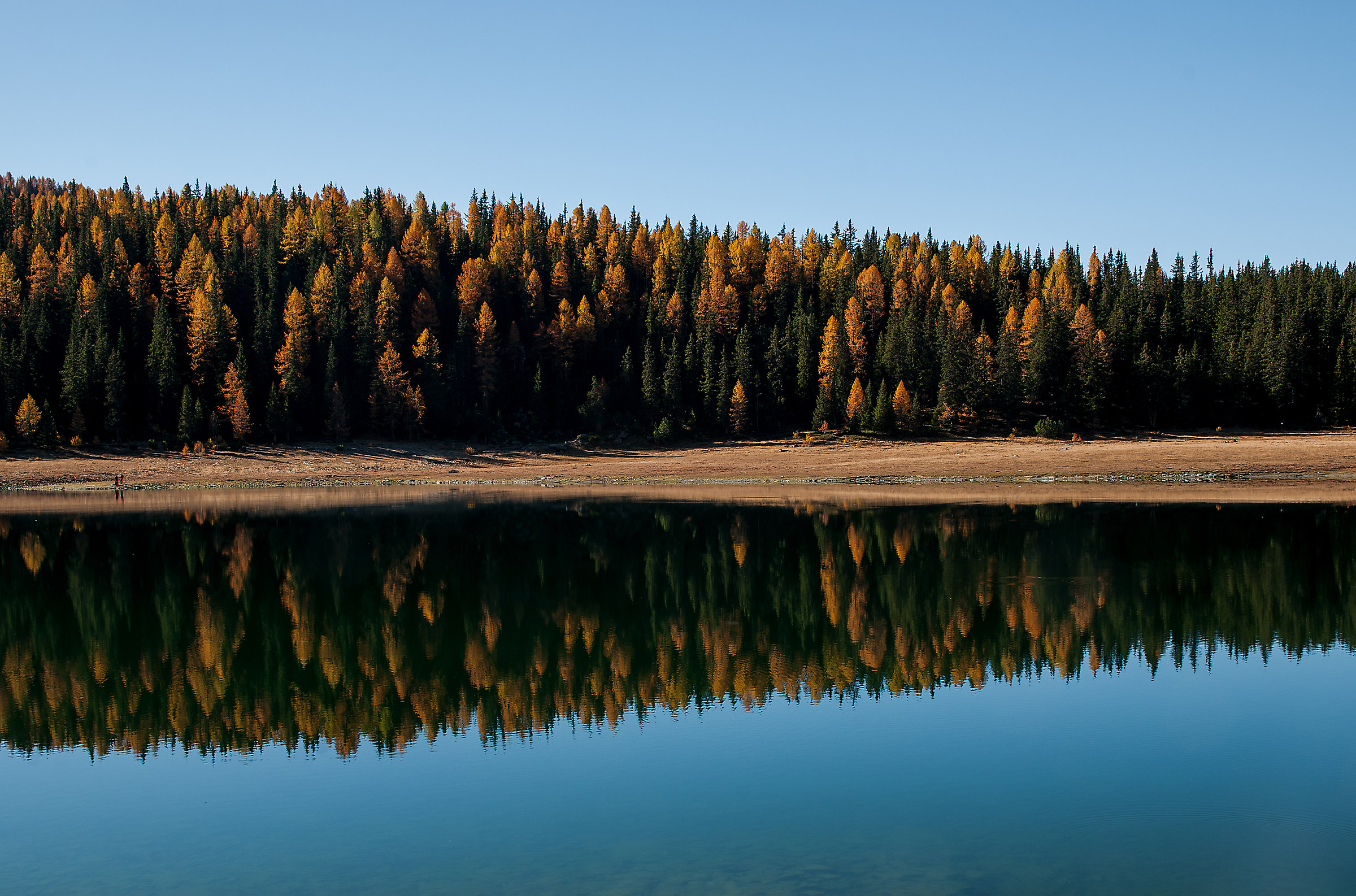 Lago Palù. L'avanzare dell'autunno.