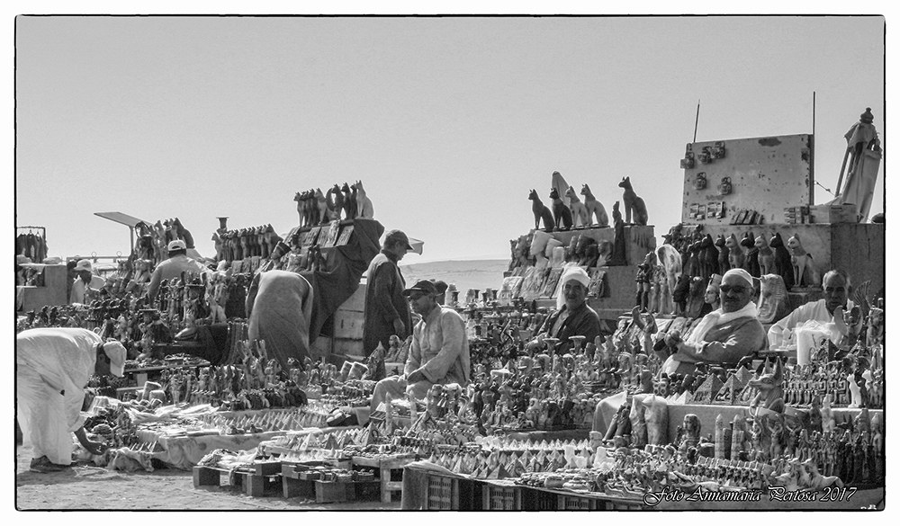 Just spoilt for choice